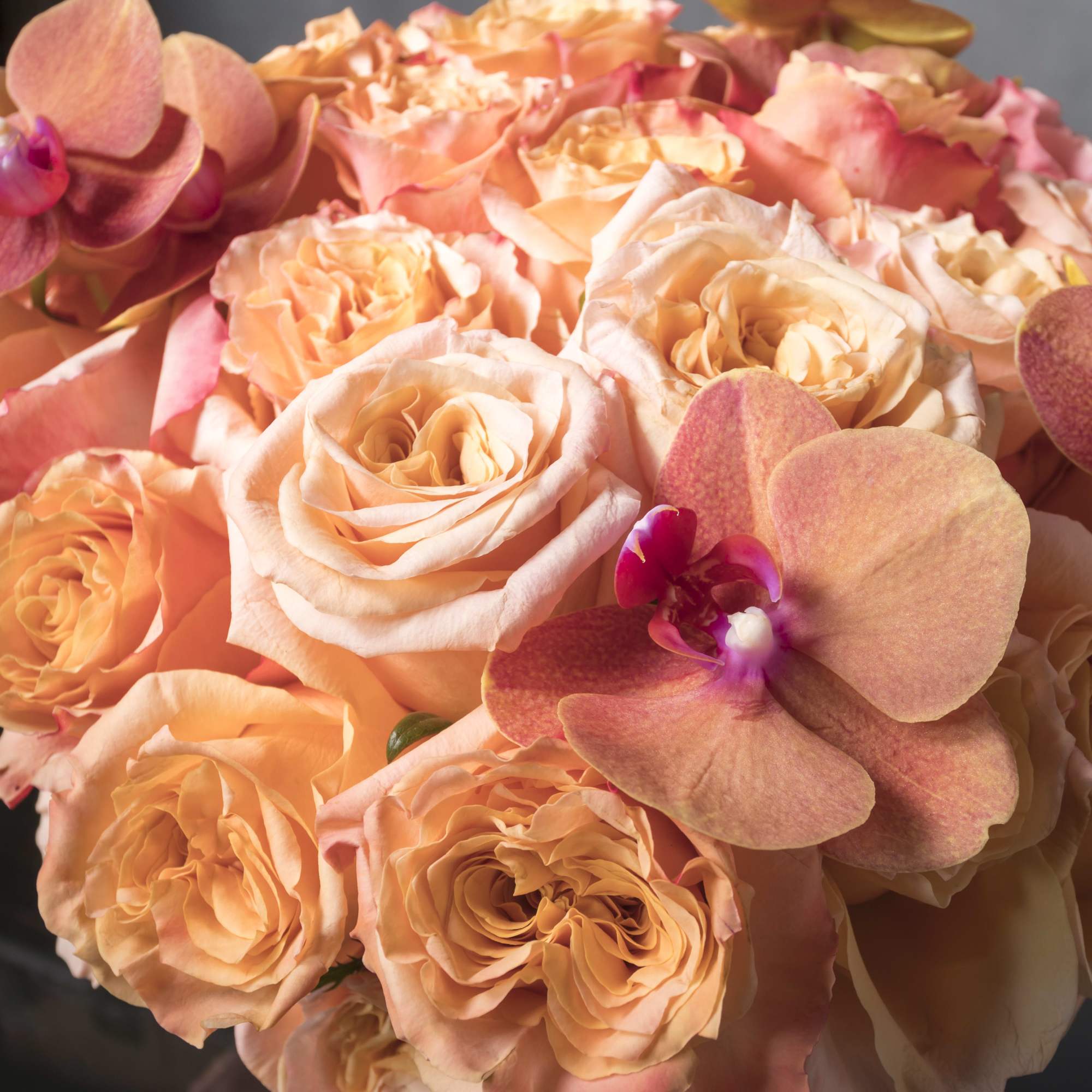 Bold and dynamic, this stunning display of Cherry Brandy roses and garden