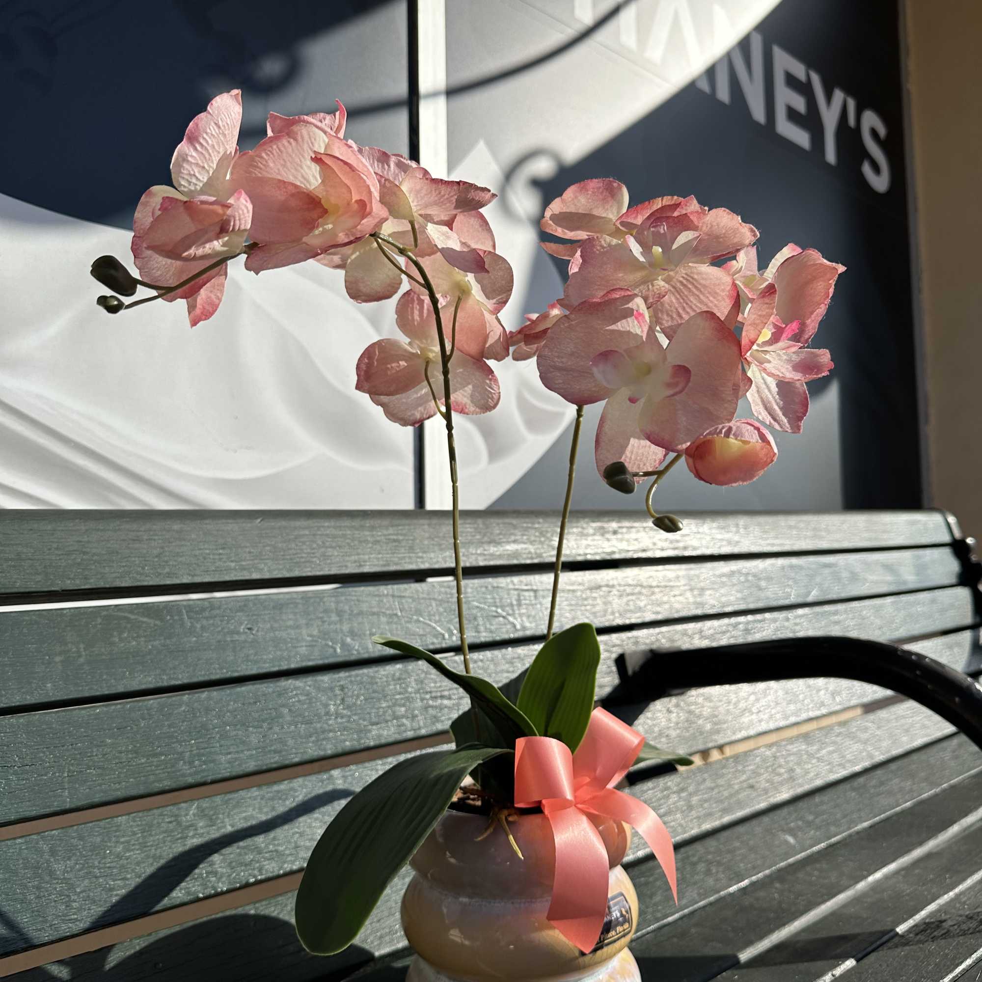 A beautiful real touch artificial orchid hand arranged in a ceramic pot.