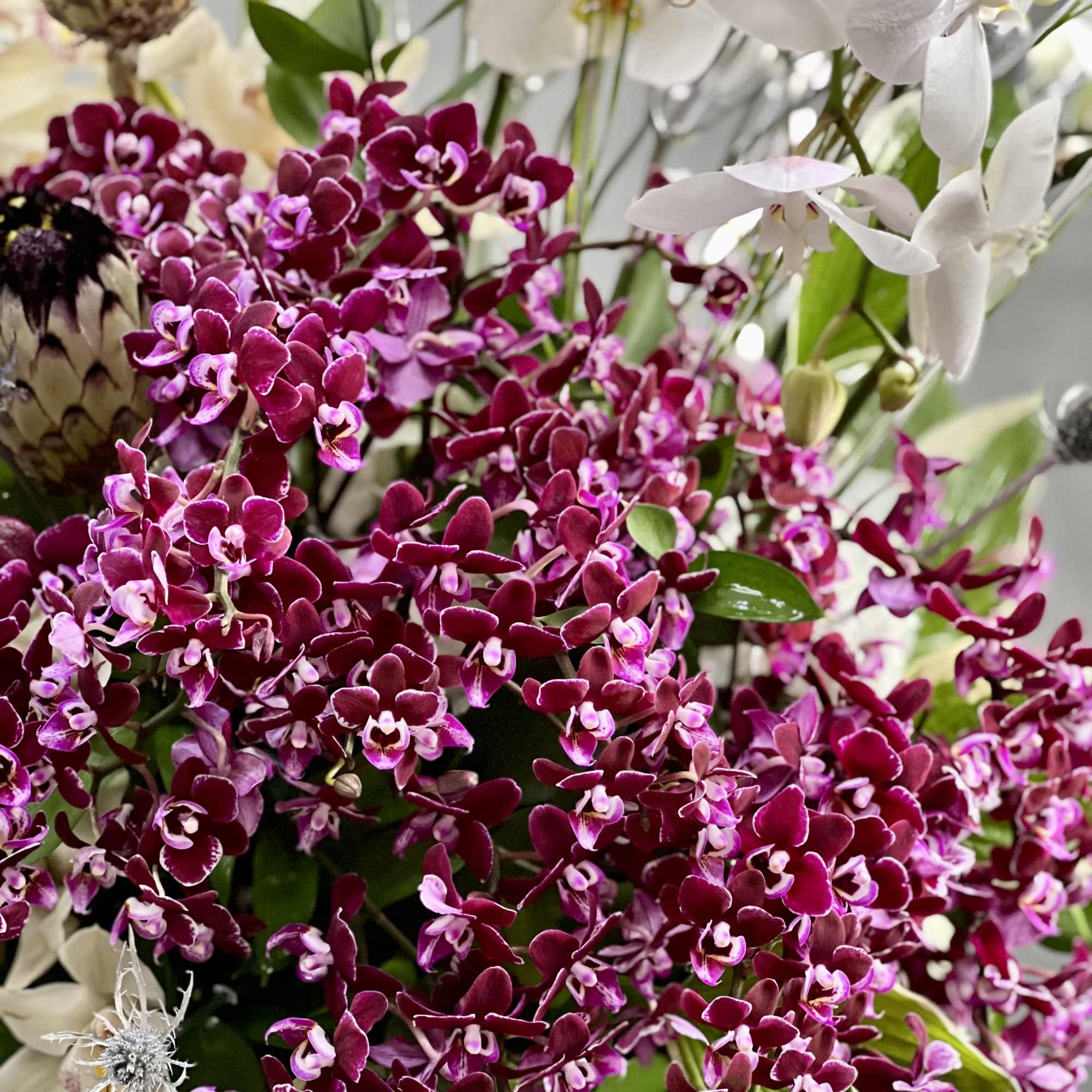 Overflowing of assorted Orchids artfully arranged in tall pedestal vase. This is