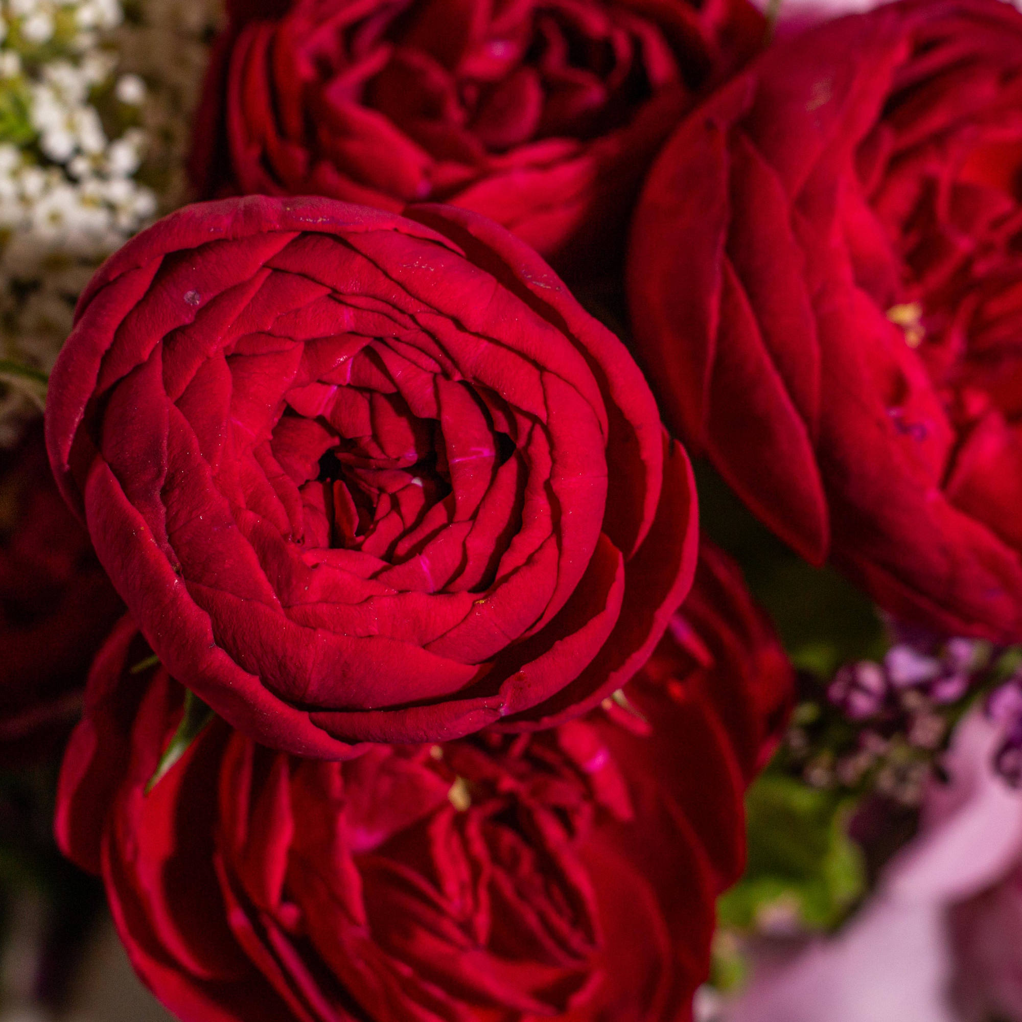 Immerse yourself in a world of seduction with our enchanting floral creation.