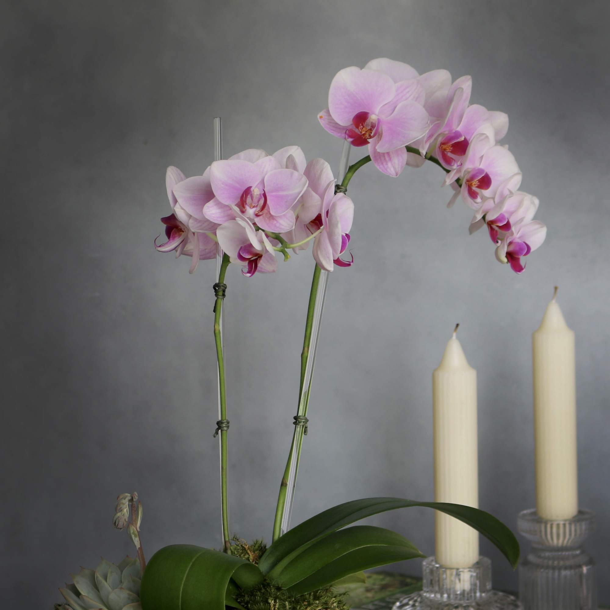 A simple pink mini Orchid arranged within a silver mini vase. Accented