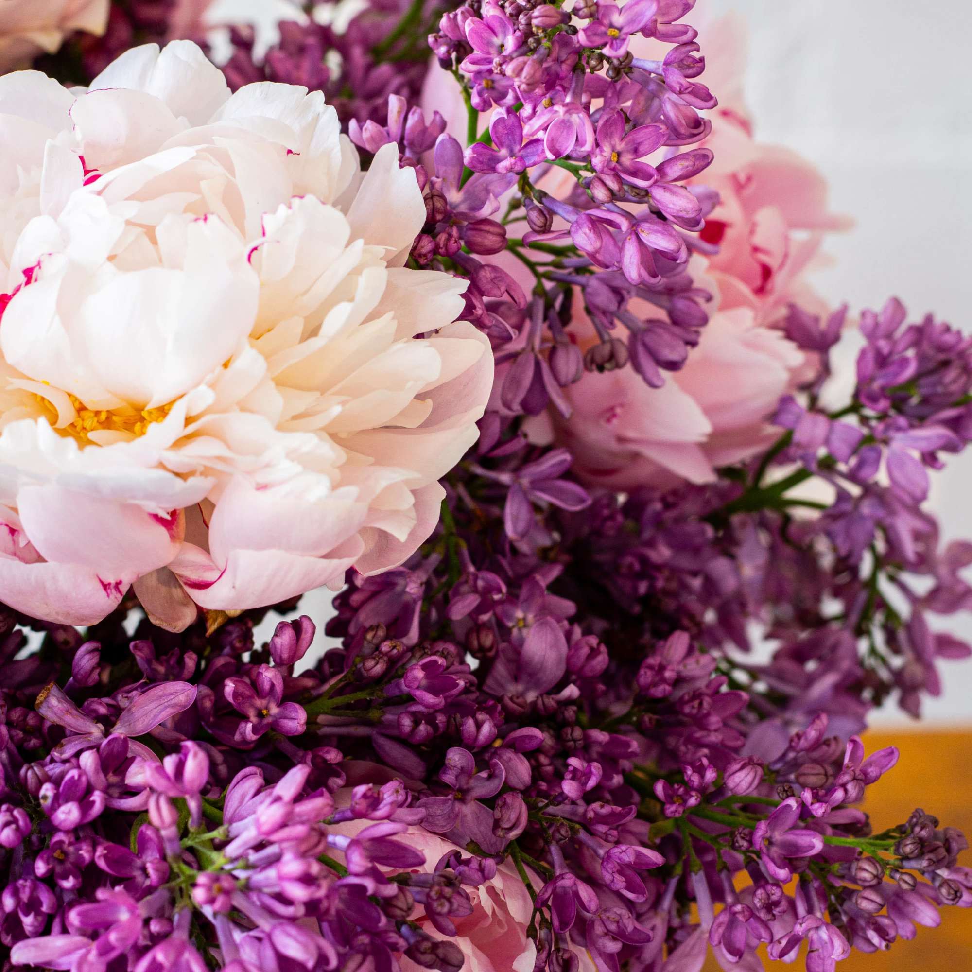 The beautiful arrangement features blush color peonies and purple lilacs gathered together