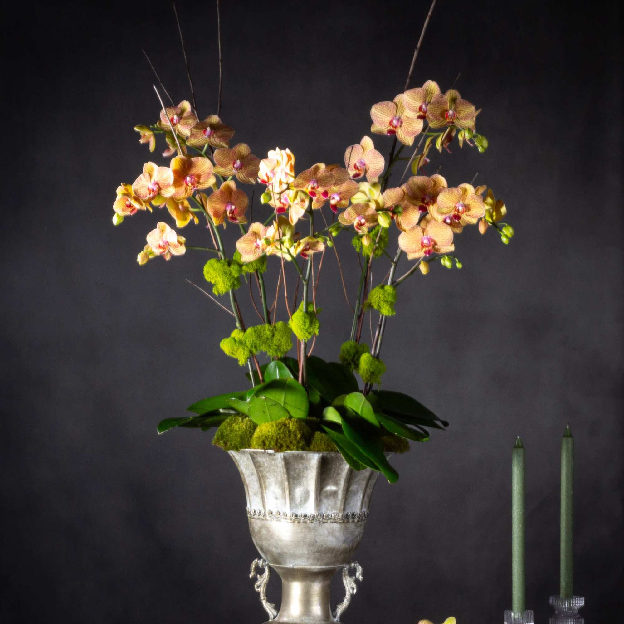 5 stems of exotic peach orchids in a pewter pedastel bowl