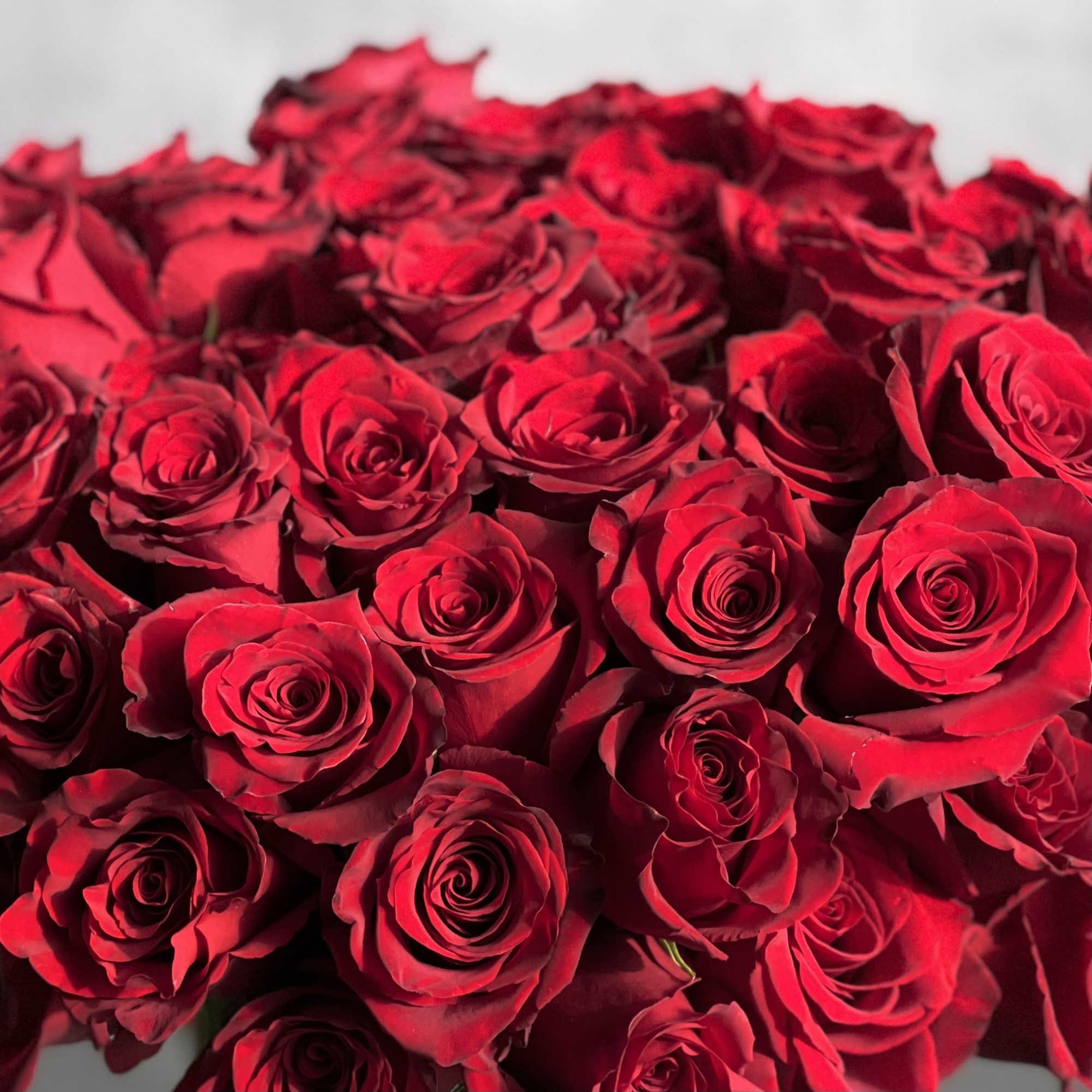 One of the most renowned and heavily symbolic flowers, Here, our designers