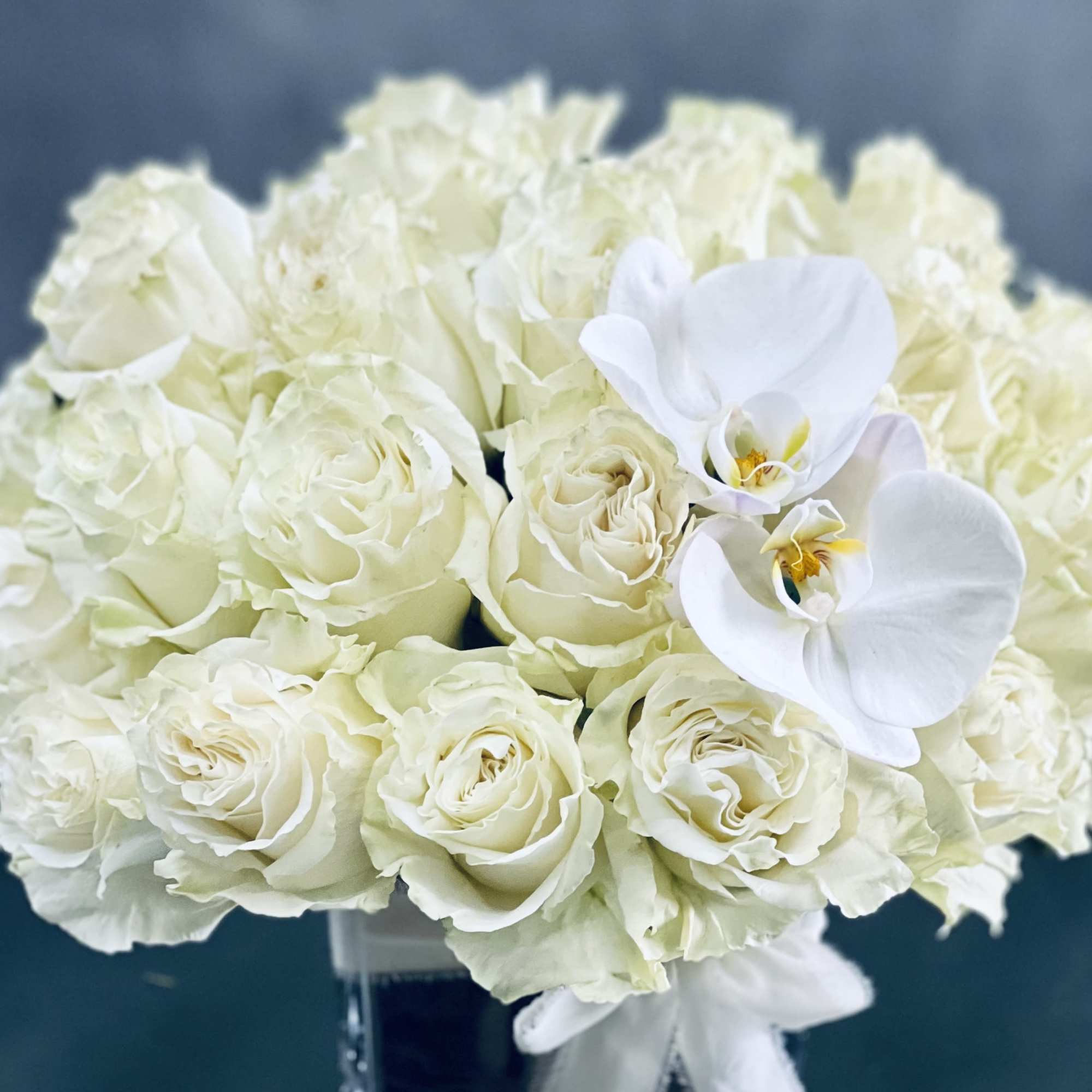 This arrangement has over 36 Blooms of pale green white Roses accented