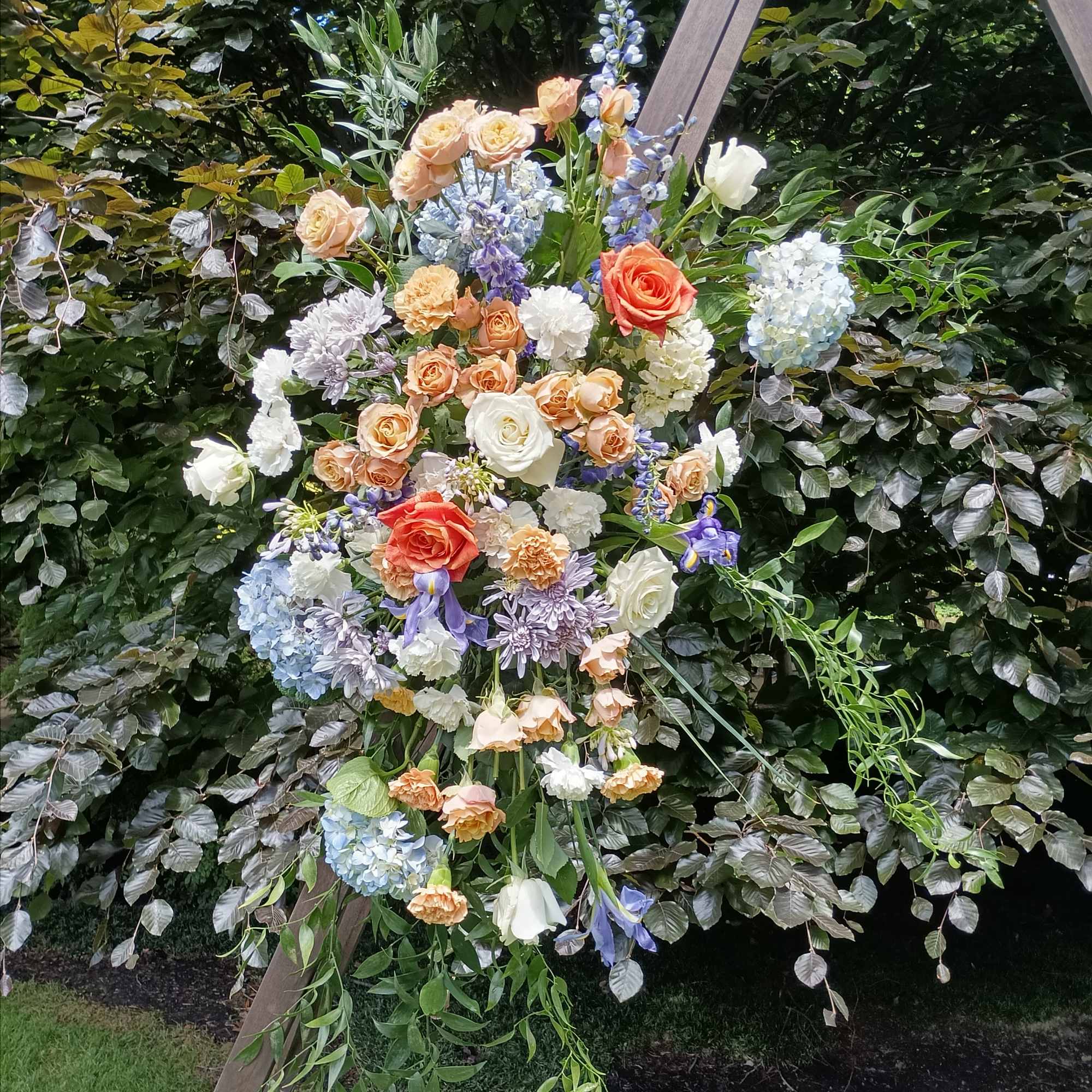 Beautiful mix of orange, blue and white flowers with the fillers and