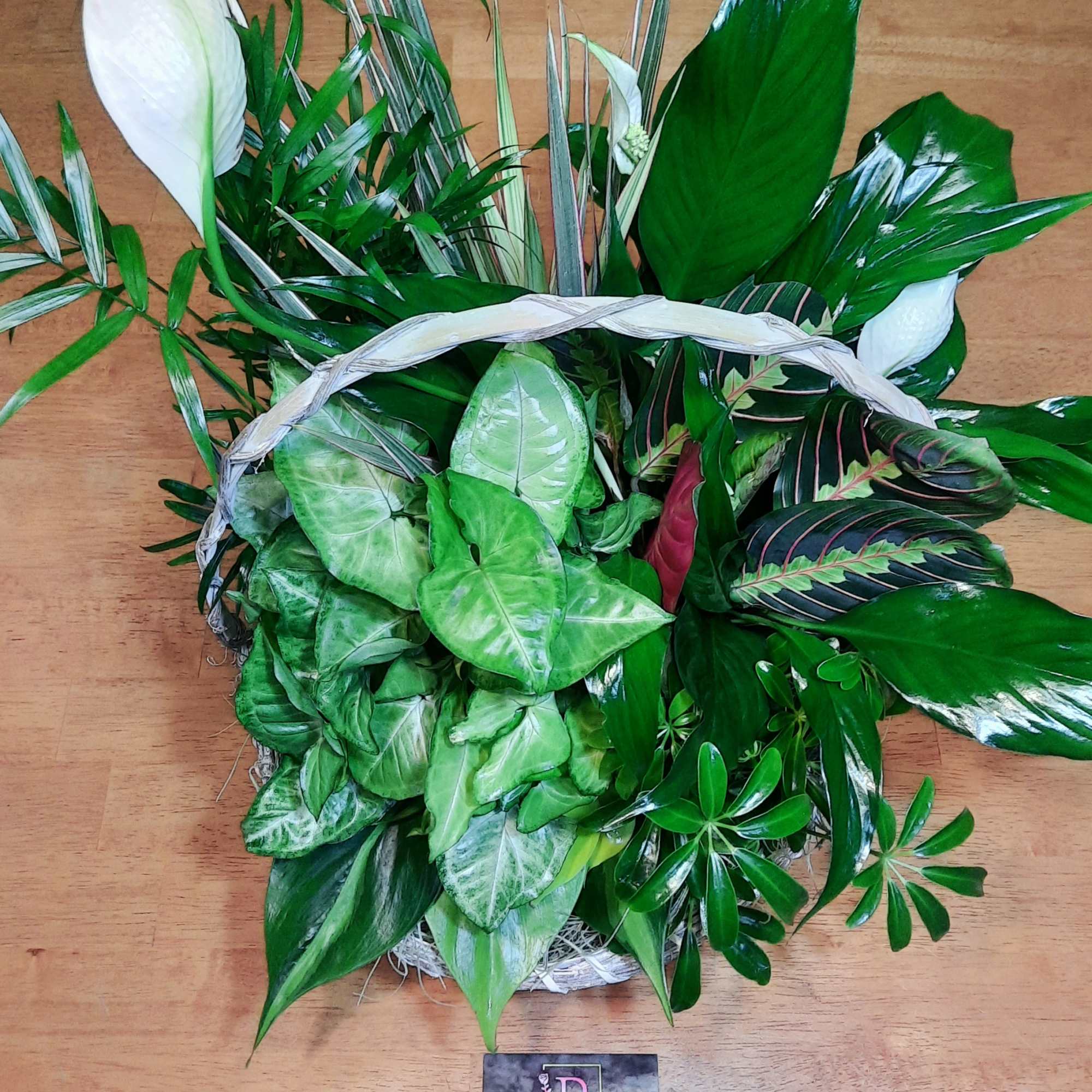 As green as an emerald and as bountiful as a garden! This