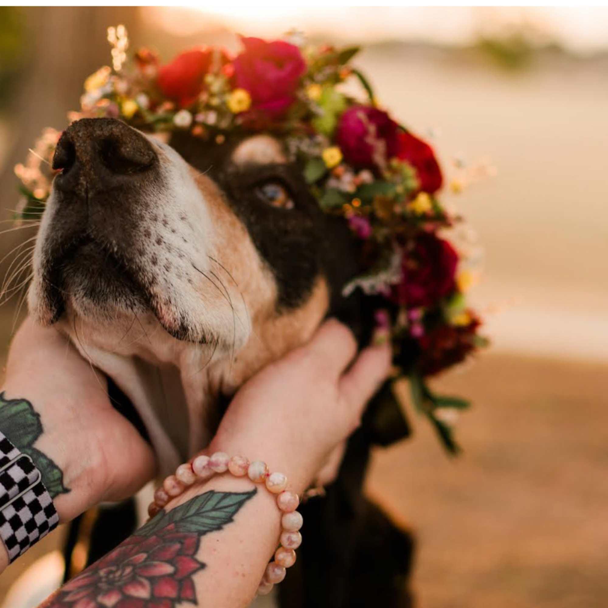 15&quot; X 2.1/2&quot;