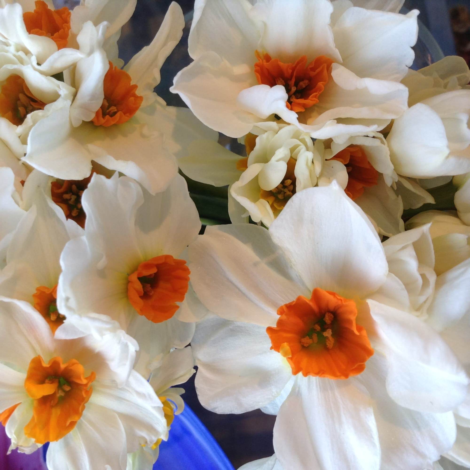 Deep red roses with a white baby breath could express love and