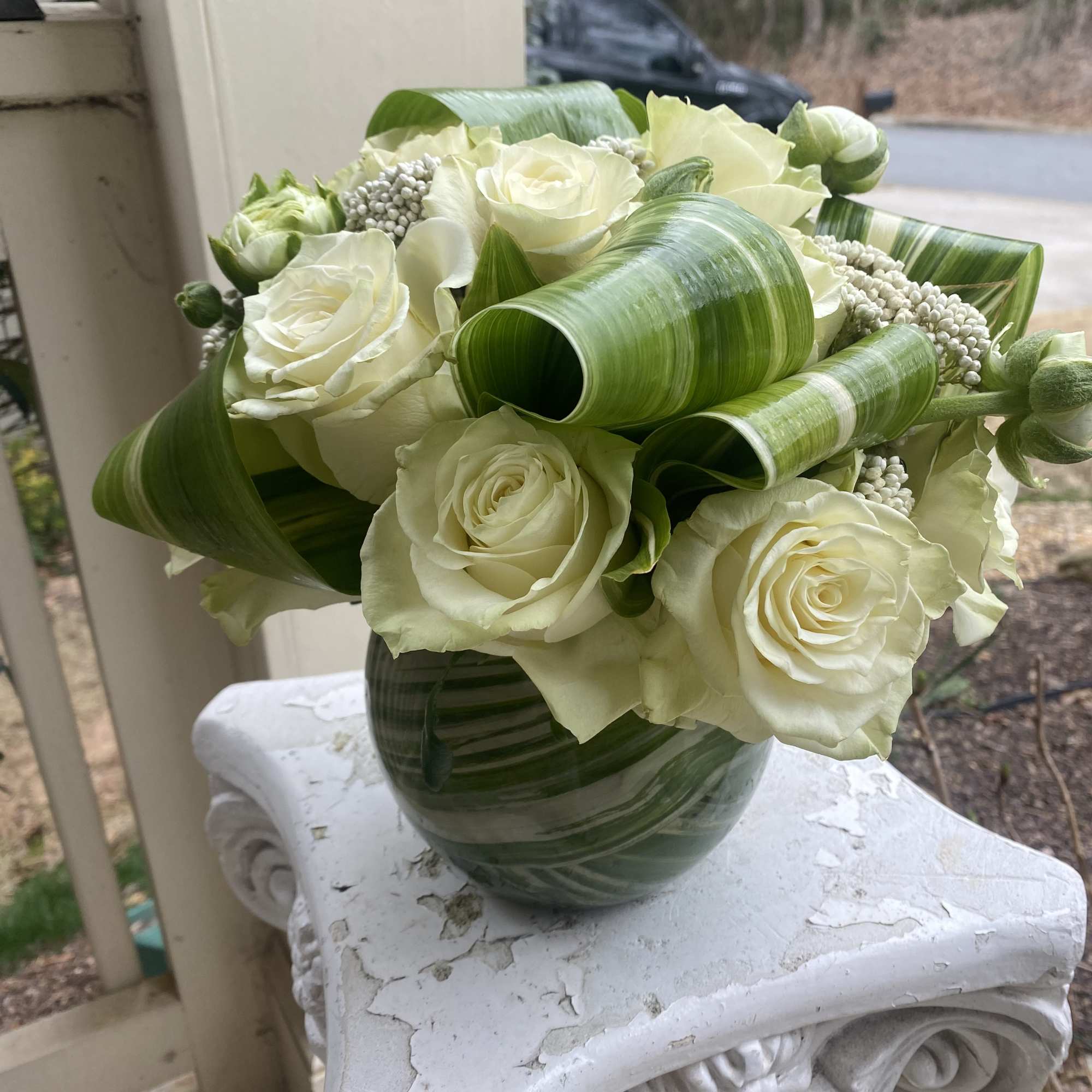 This arrangement is the perfect combination of white/ivory roses with a ribbon This arrangement is the perfect combination of white/ivory roses with a ribbon
