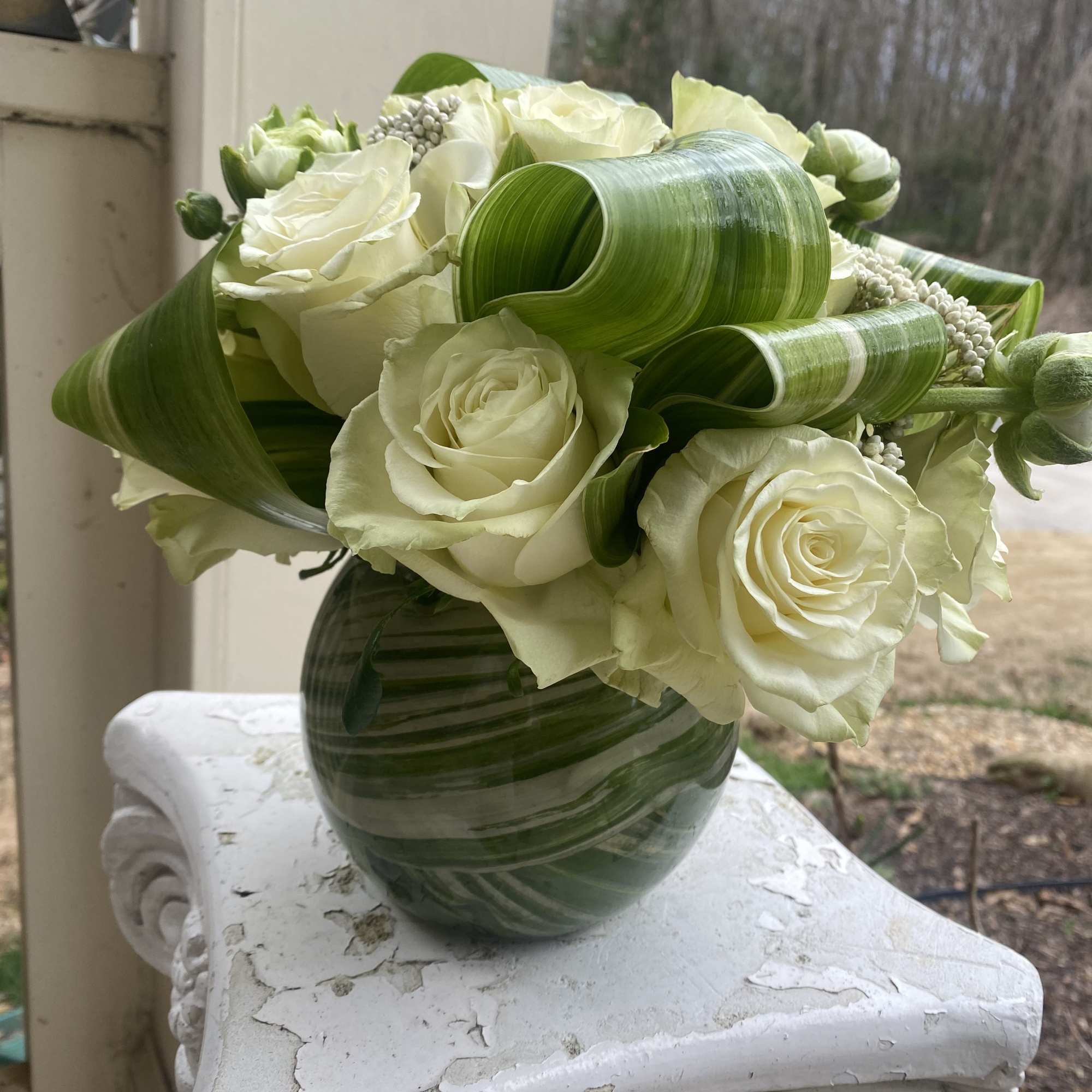 This arrangement is the perfect combination of white/ivory roses with a ribbon This arrangement is the perfect combination of white/ivory roses with a ribbon