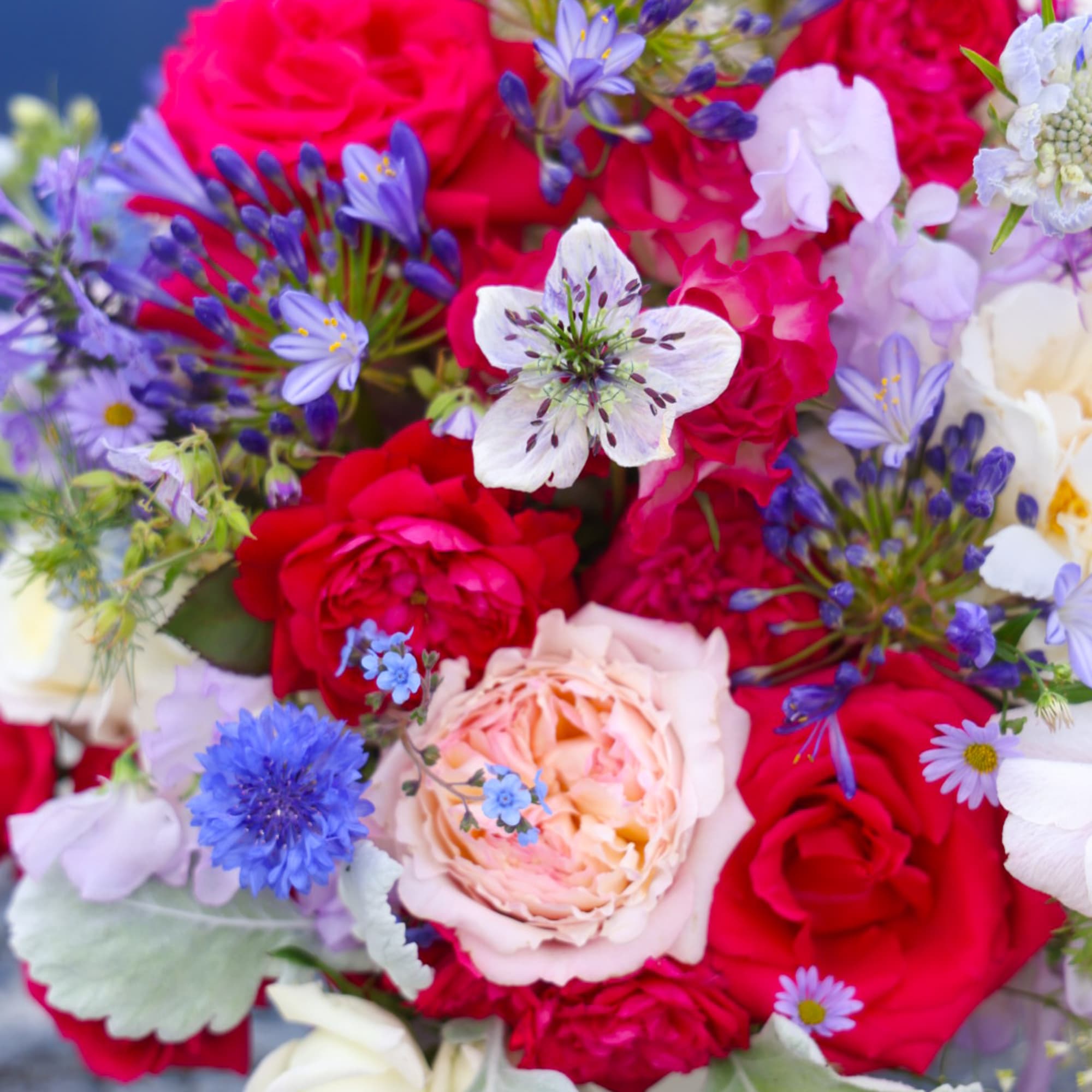 Fireworks, family, lightning bugs, salt water or fresh and a good dash