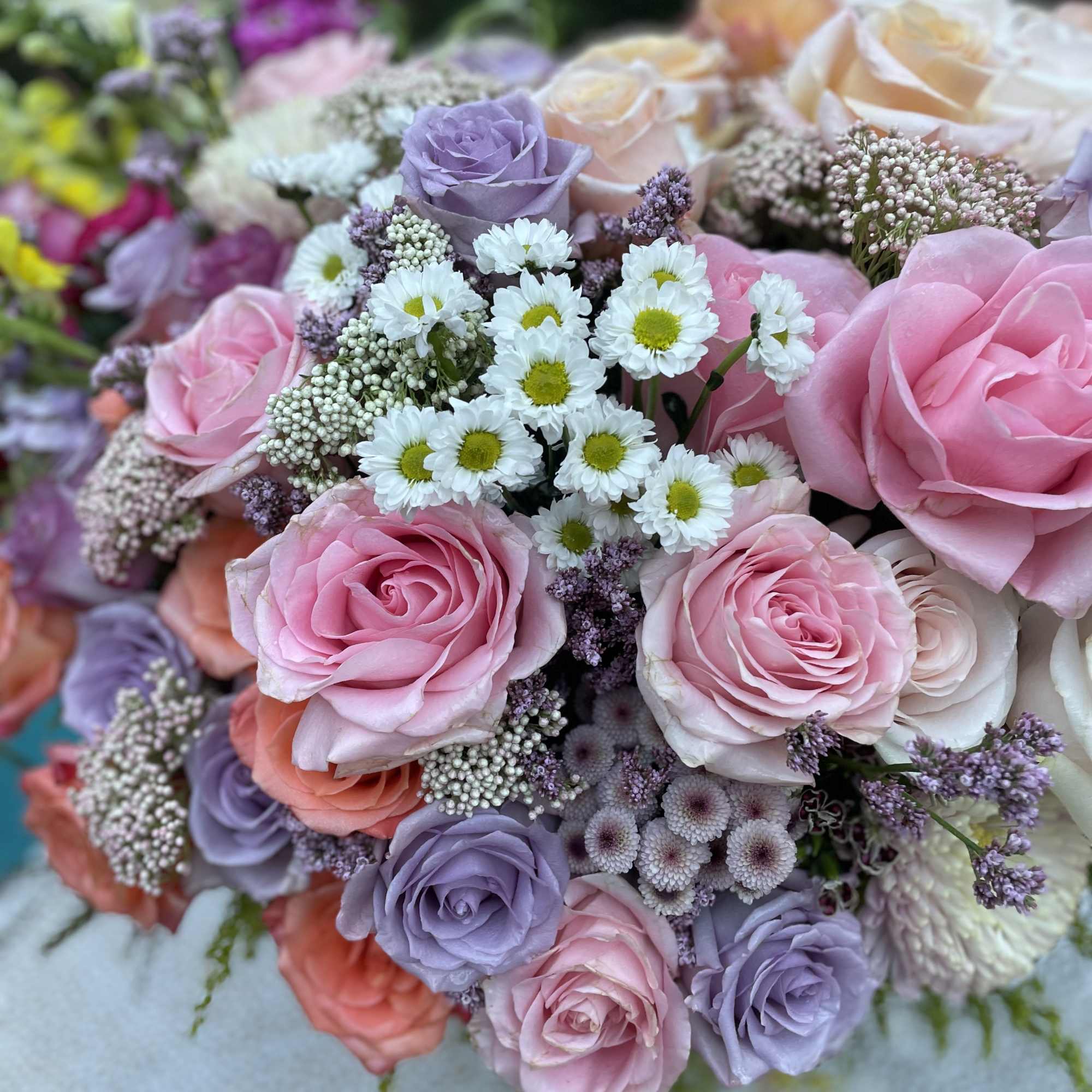 Embark on a floral journey reminiscent of Empress Josephine&#039;s enchanting Chateau Malmaison