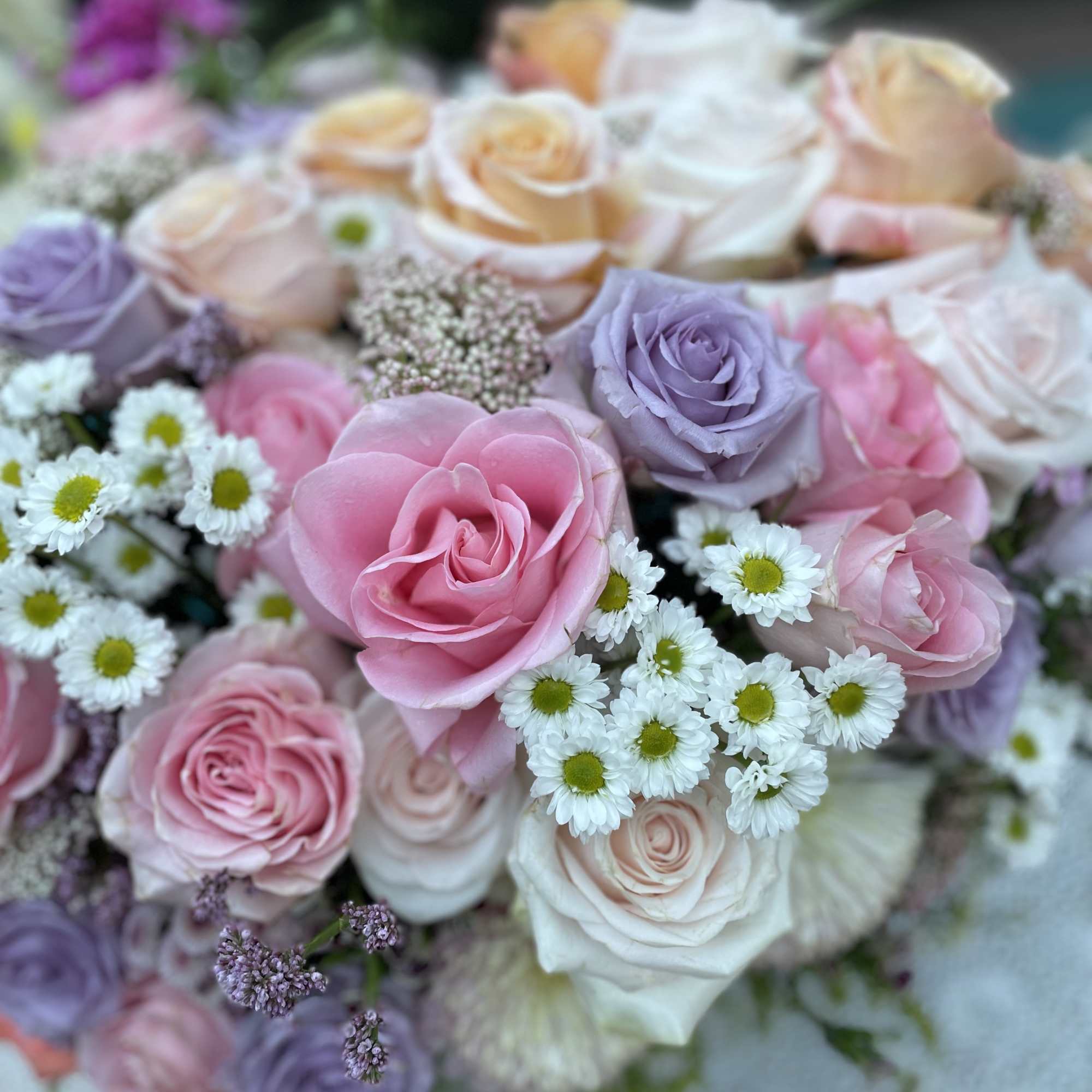 Embark on a floral journey reminiscent of Empress Josephine&#039;s enchanting Chateau Malmaison