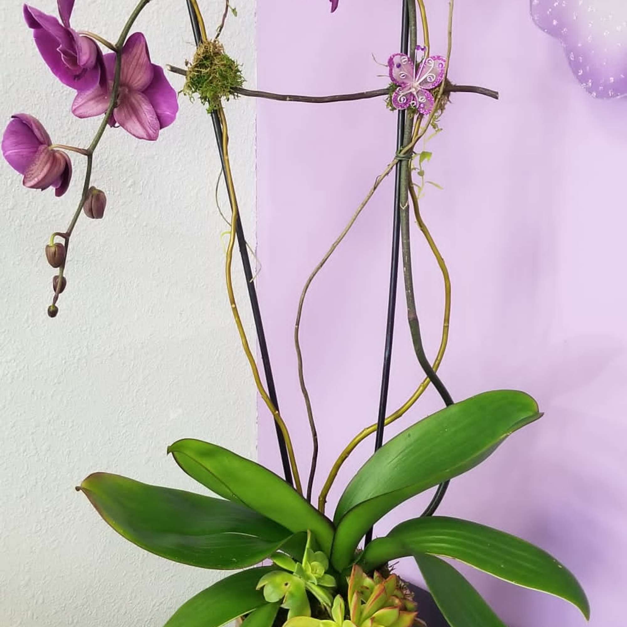 20210503024548_file_608f63dc1d