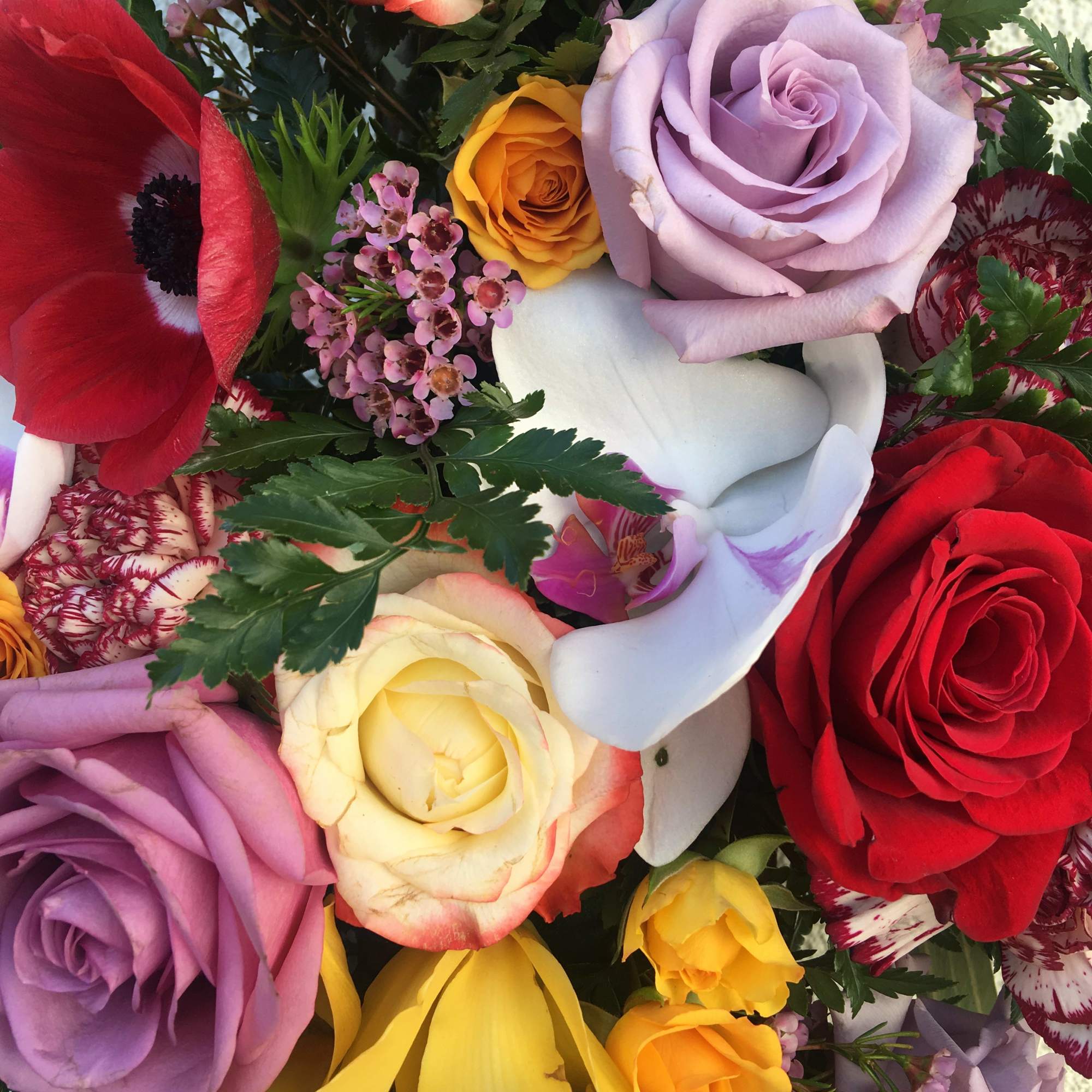 Sacred Garden cross  Sacred Garden cross