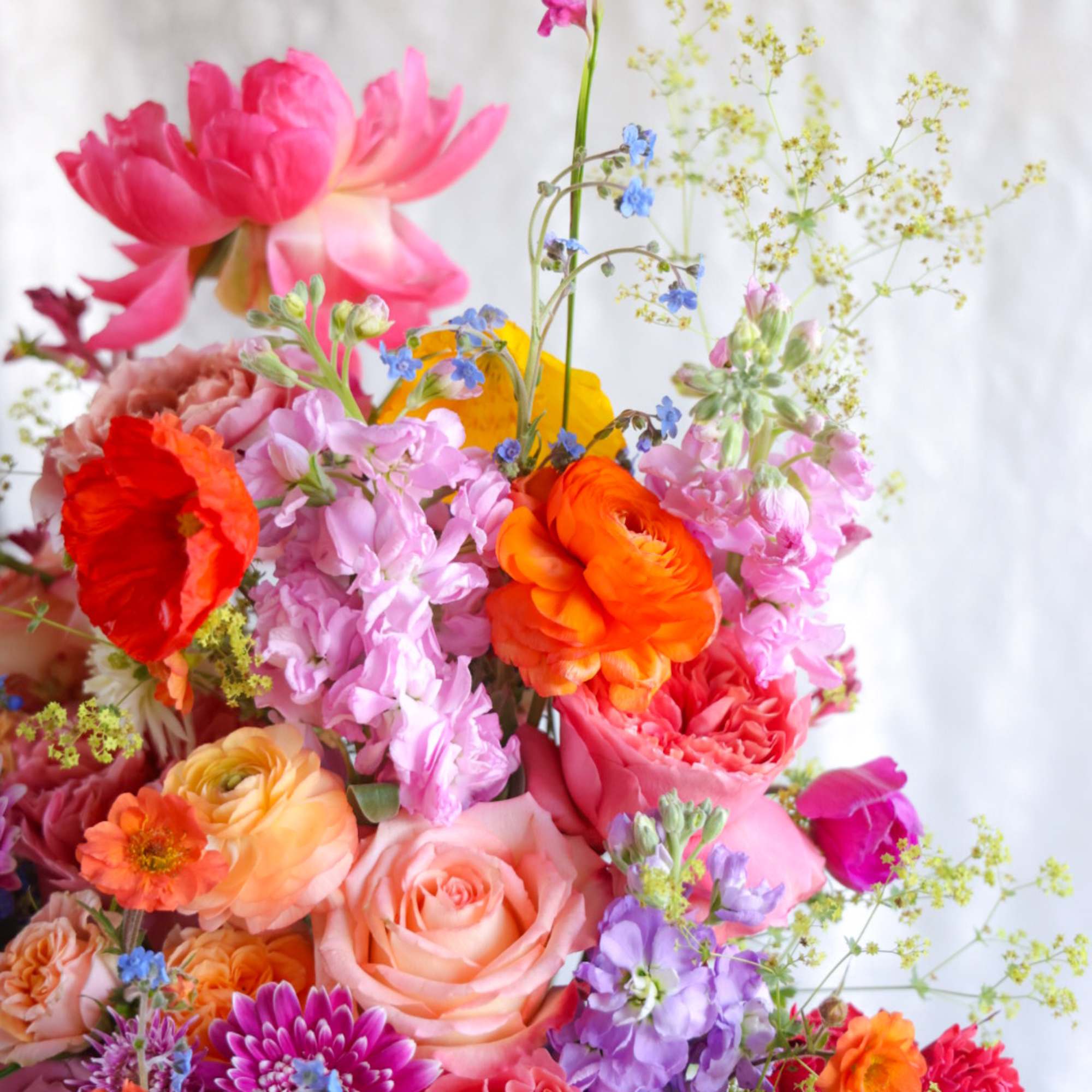 Sweet &amp; fruity. Elegant &amp; regal. Let the colors of this summer