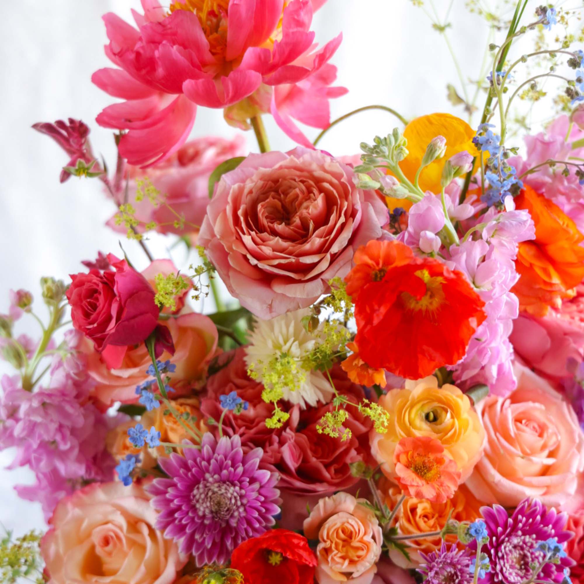 Sweet &amp; fruity. Elegant &amp; regal. Let the colors of this summer