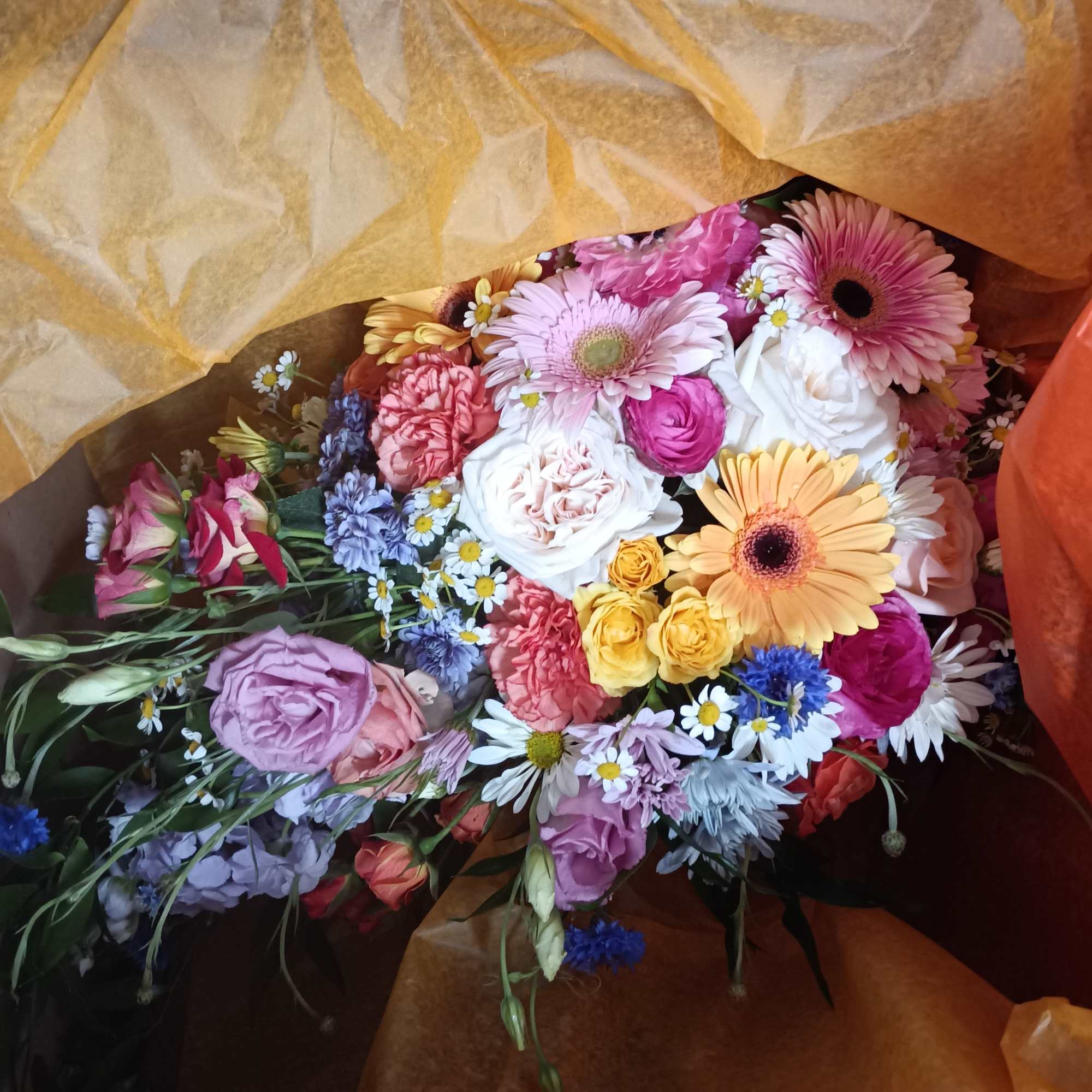 Beautiful whimsical cascade of light bright  summer colors of pink, blush