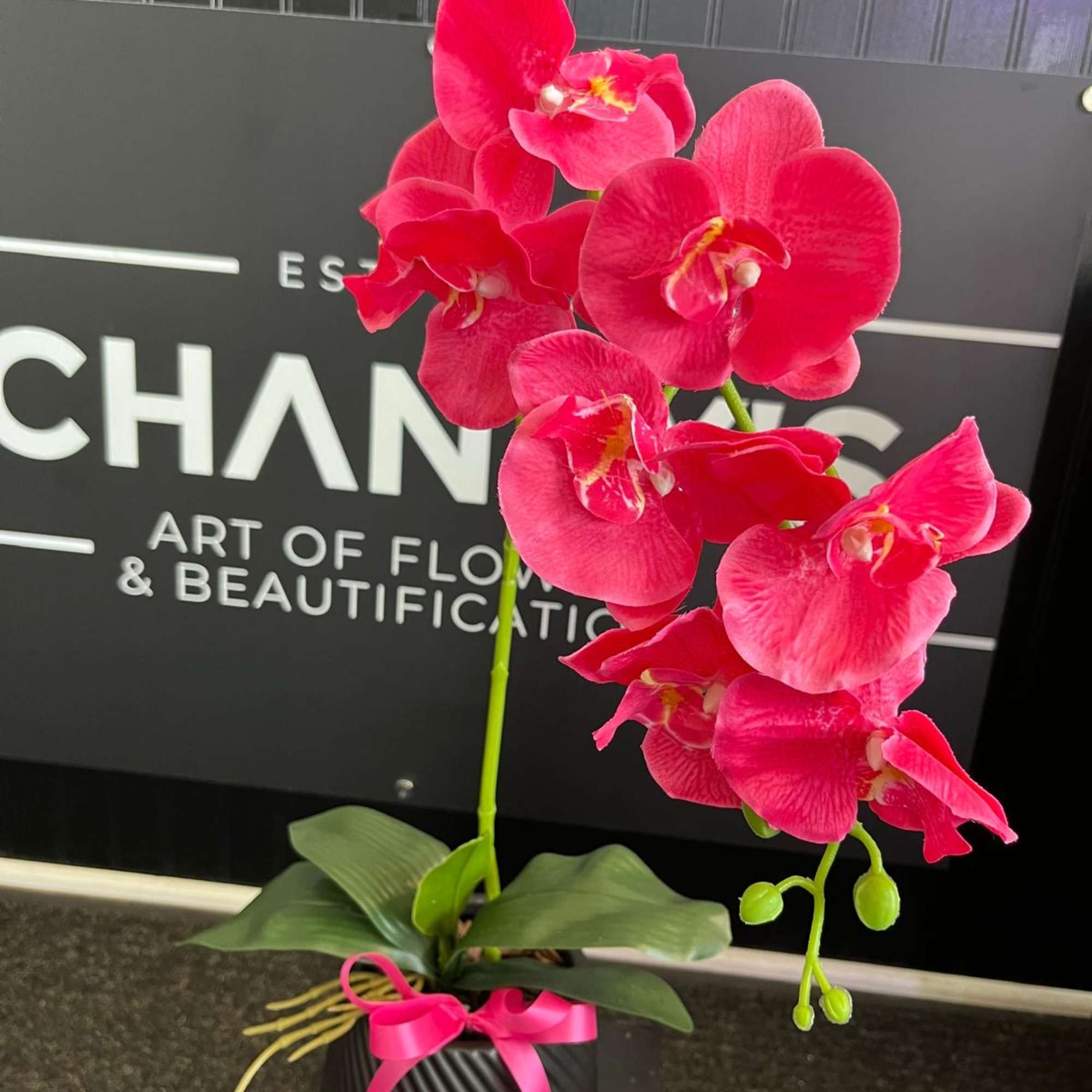 A beautiful real touch artificial orchid hand arranged in a ceramic pot.