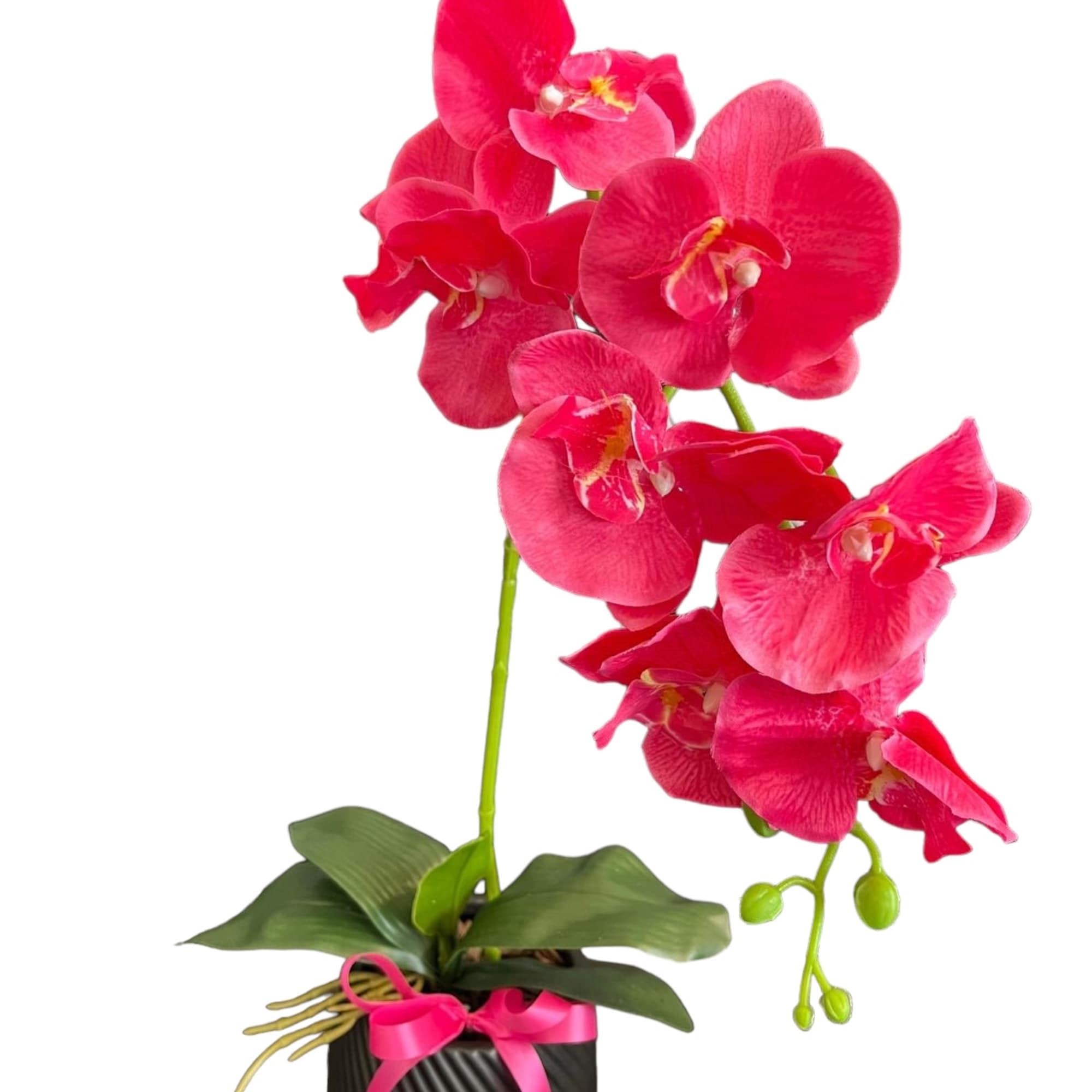 A beautiful real touch artificial orchid hand arranged in a ceramic pot.