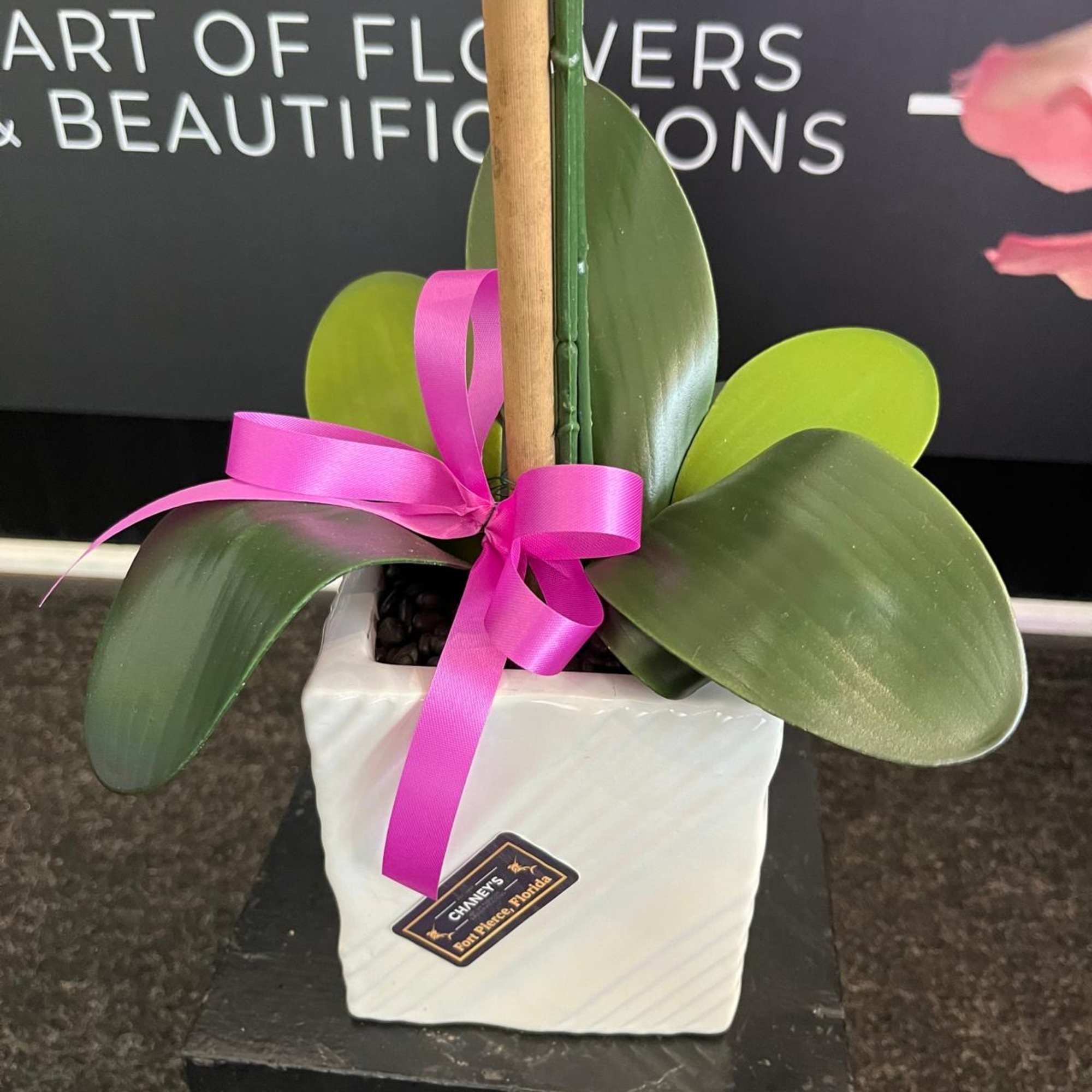 A beautiful real touch artificial orchid hand arranged in a ceramic pot.