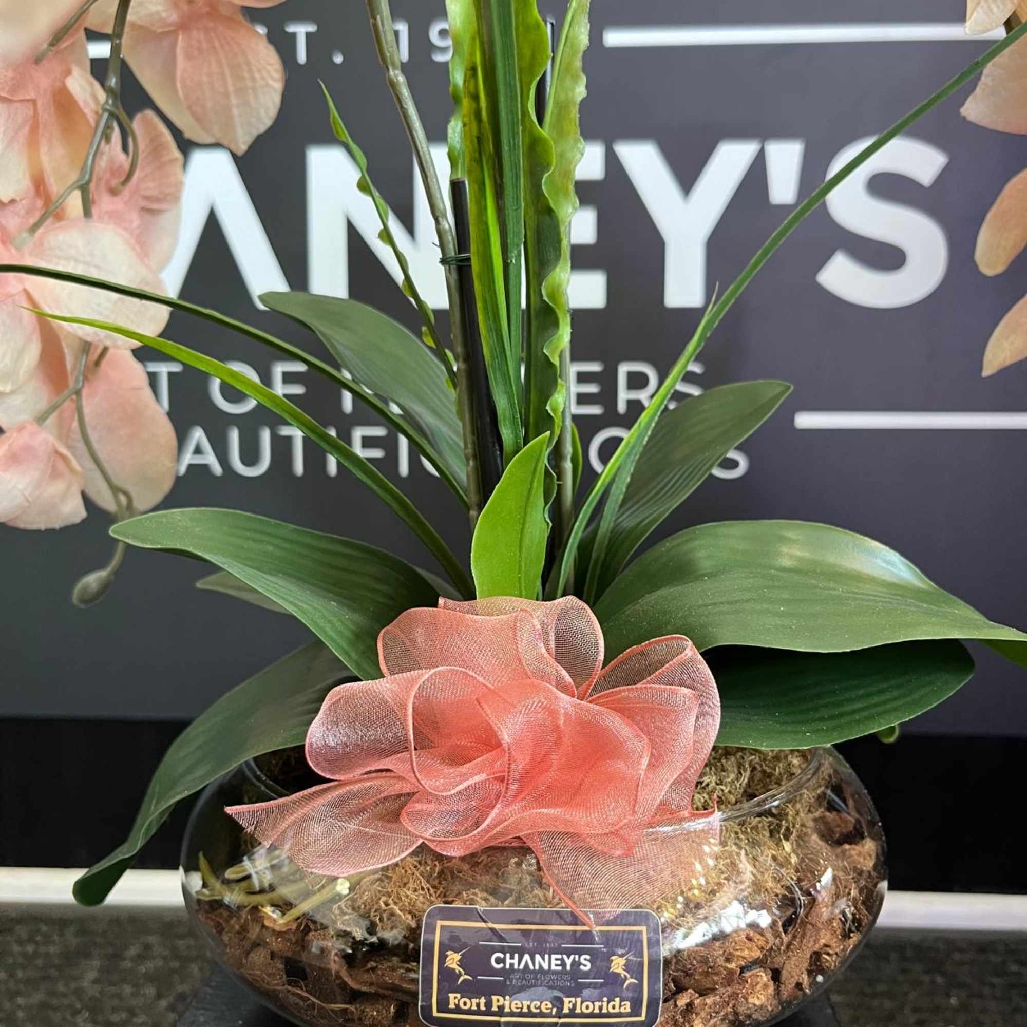 A beautiful real touch artificial orchid hand arranged in a ceramic pot.