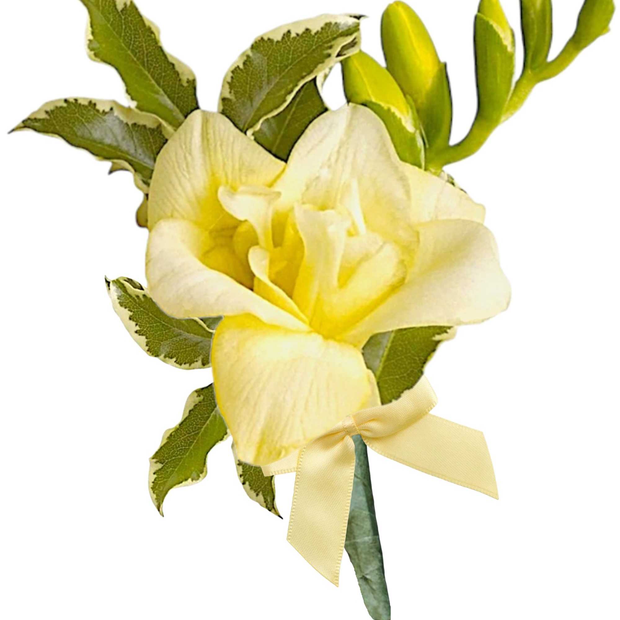 Order a Fresh Flower Boutonniere or Corsage for Your Prom Date, Anniversary