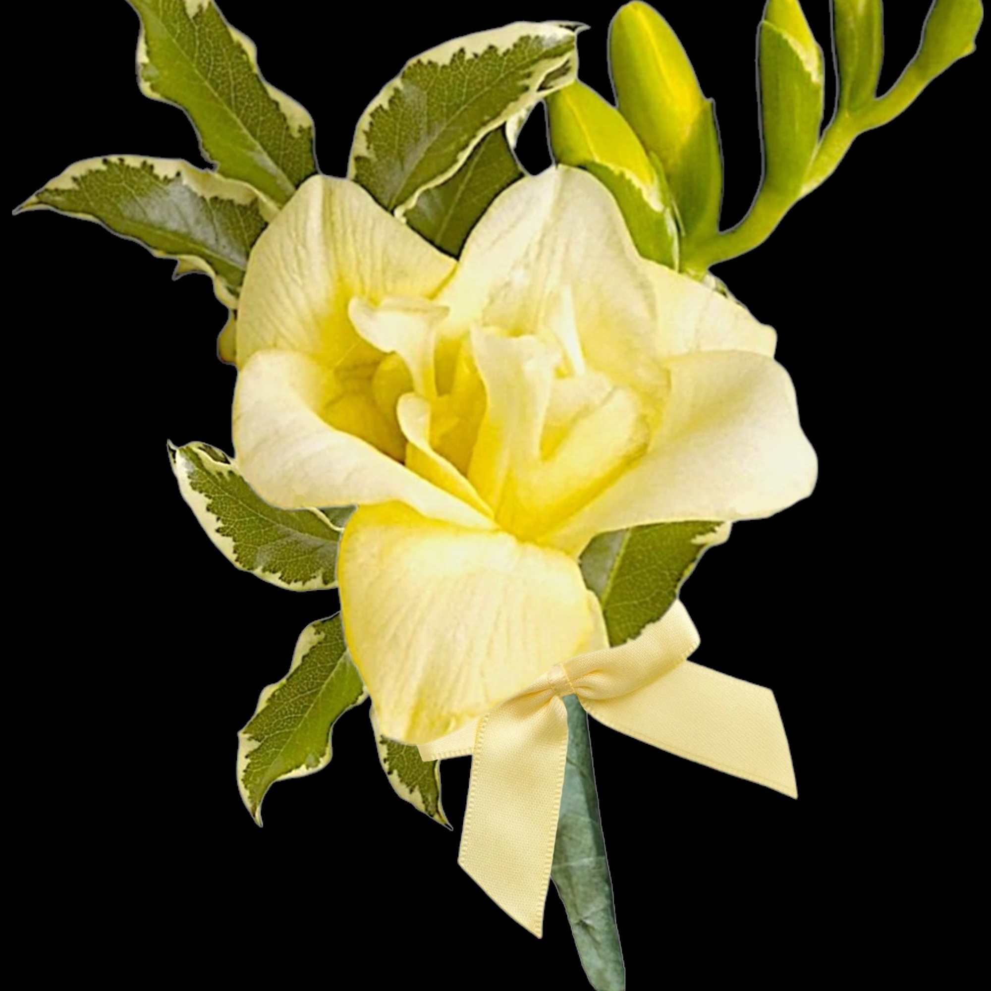 Order a Fresh Flower Boutonniere or Corsage for Your Prom Date, Anniversary