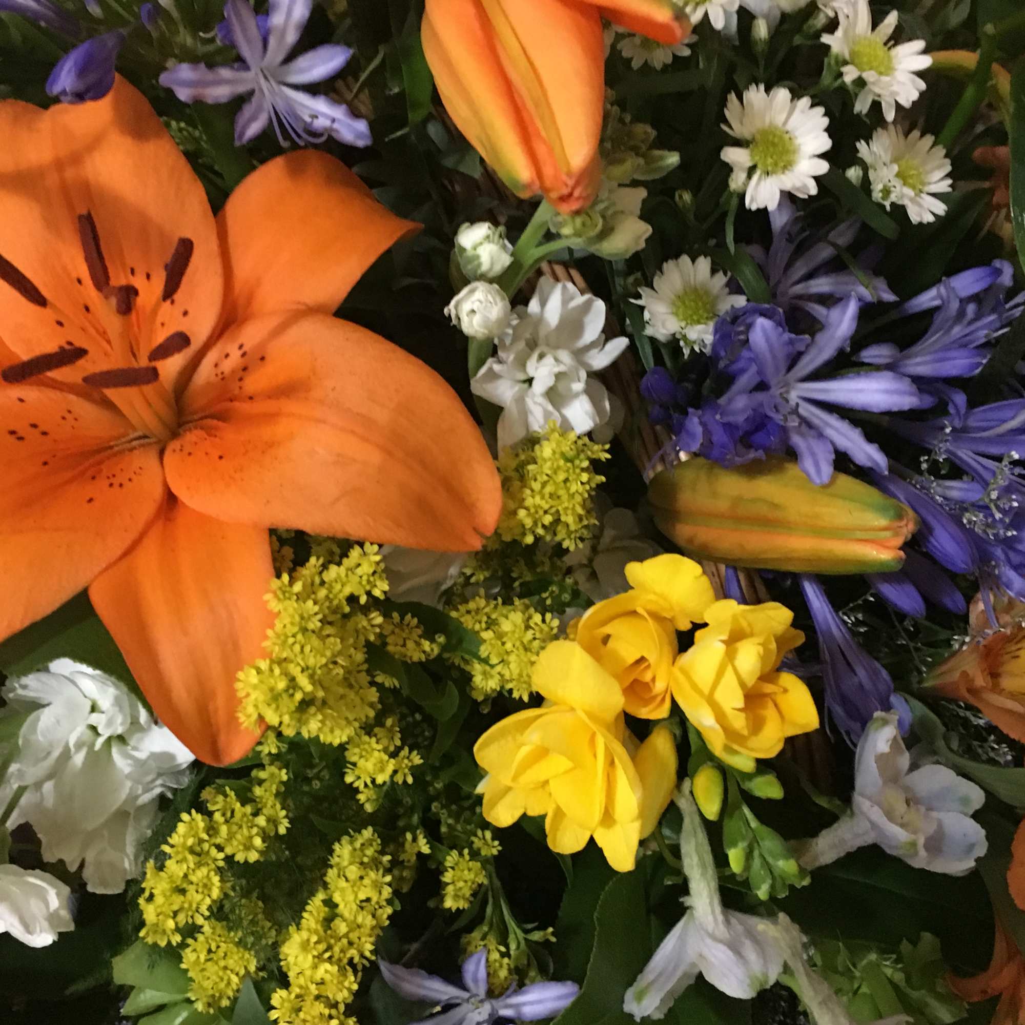 The Iris ( meaning rainbow) is a beautiful, bright, large basket design