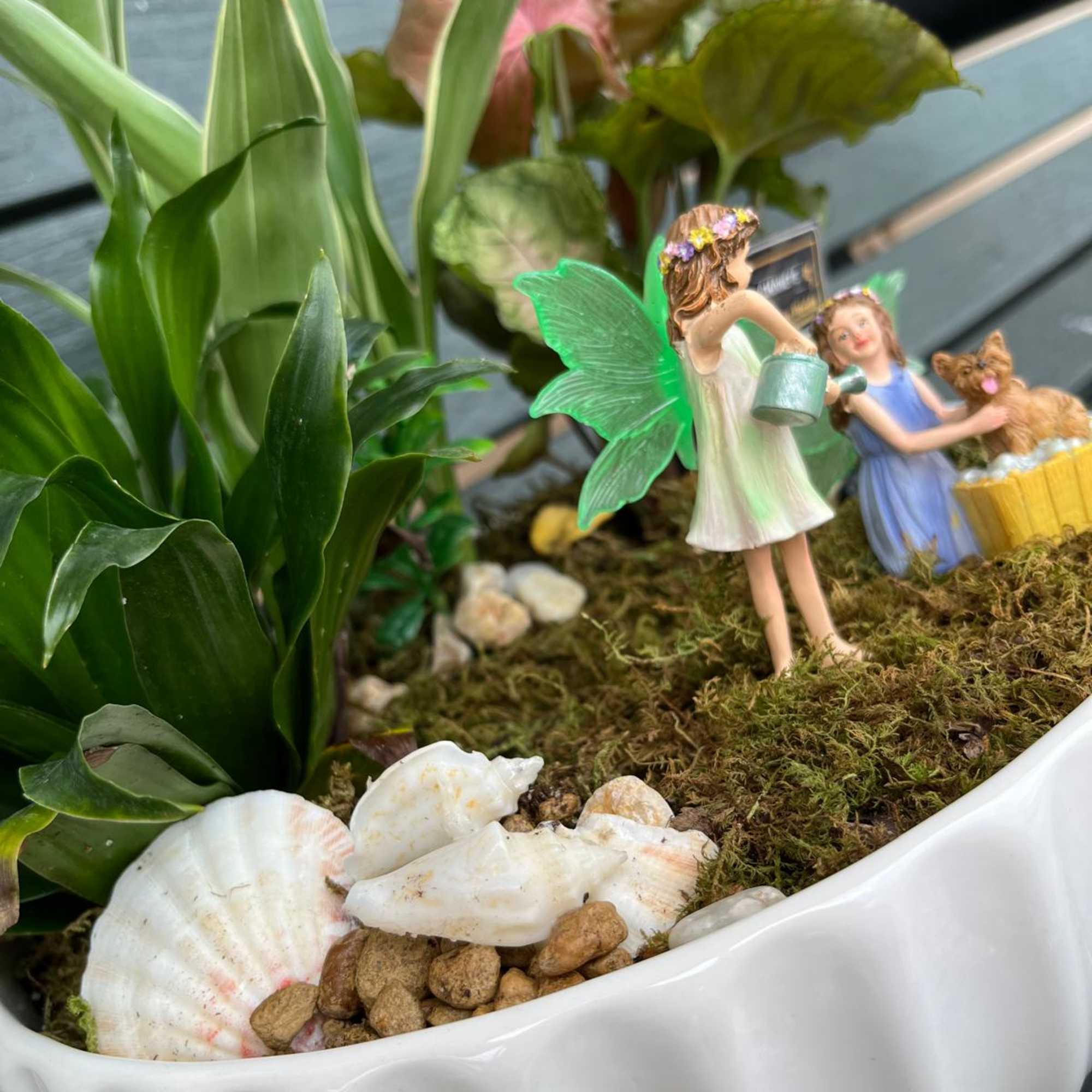 Another amazing new Chaney&acute;s creation: The &quot;MAGIC FAIRY DISH GARDEN&quot; - artificial