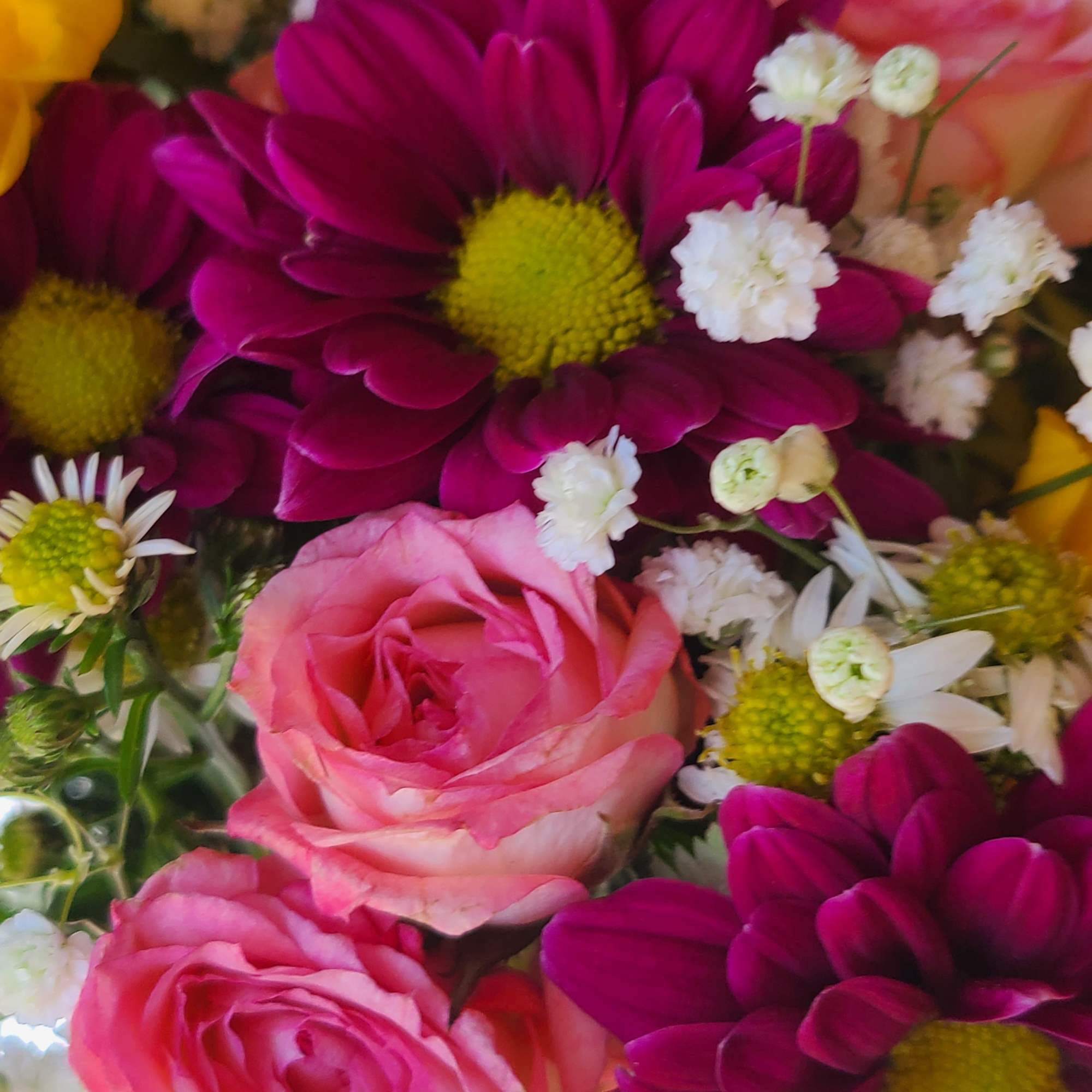 A delicate arrangement of sunflowers, daisies, and spray roses. Sweetly complimented with