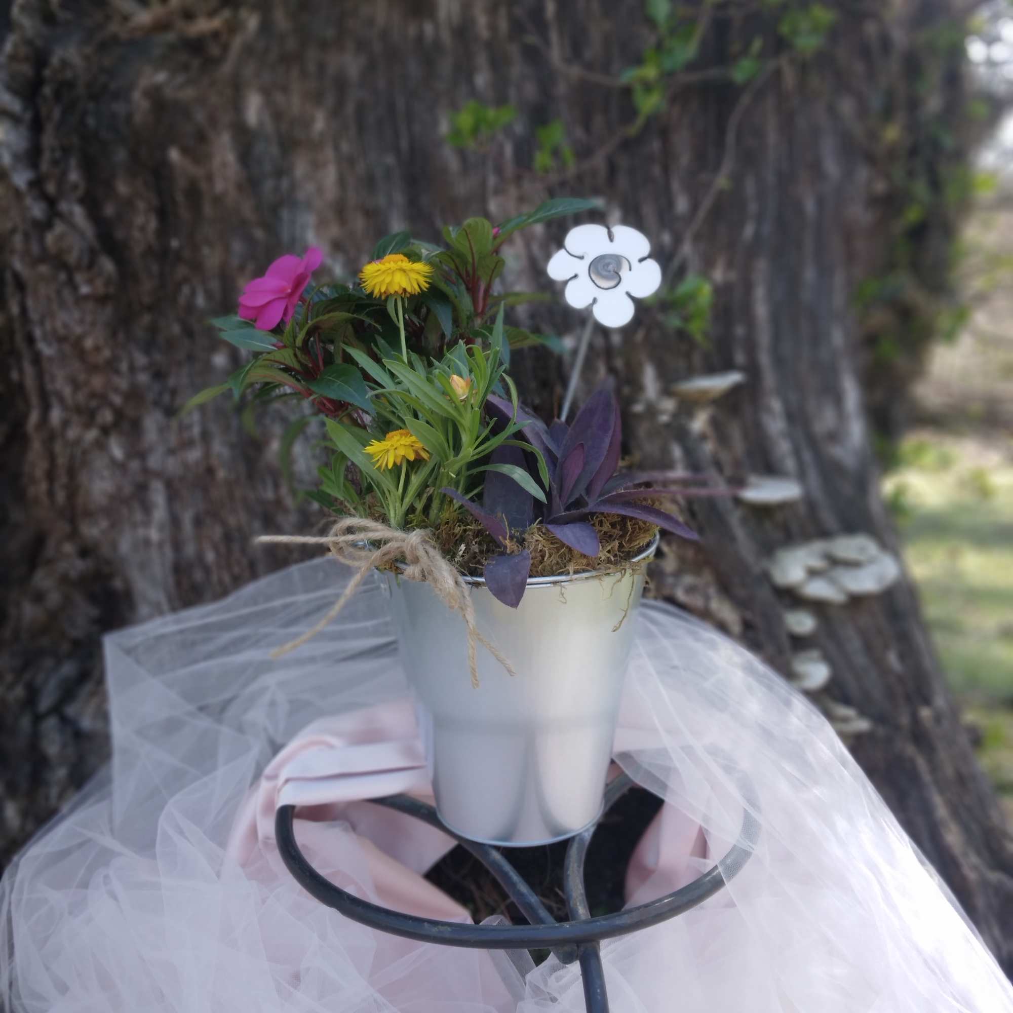 Our bright and vivid Blooming Plant Bucket will bring smiles!  Hot Our bright and vivid Blooming Plant Bucket will bring smiles!  Hot