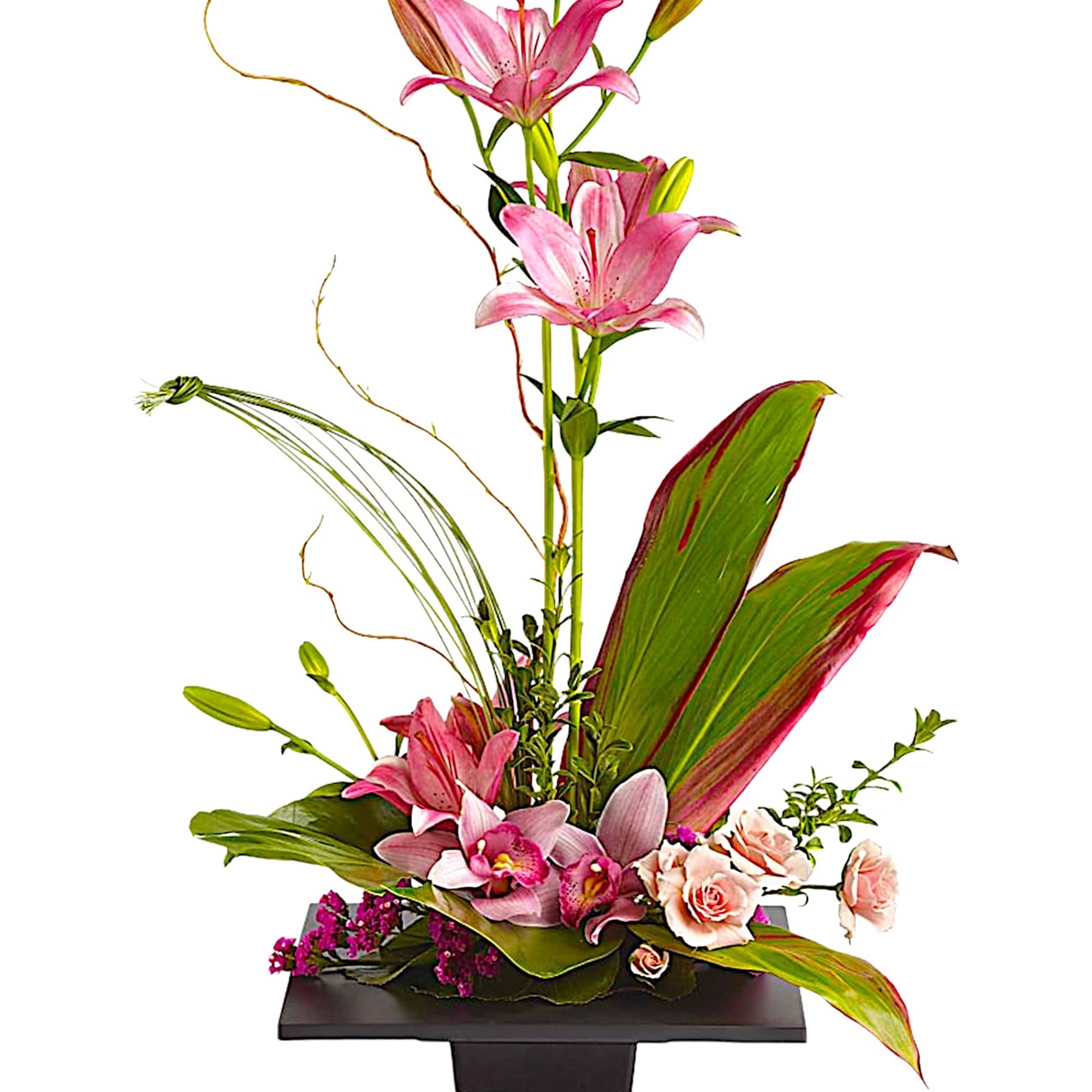 Escape into your very own a tranquil Zen Garden with this serenely