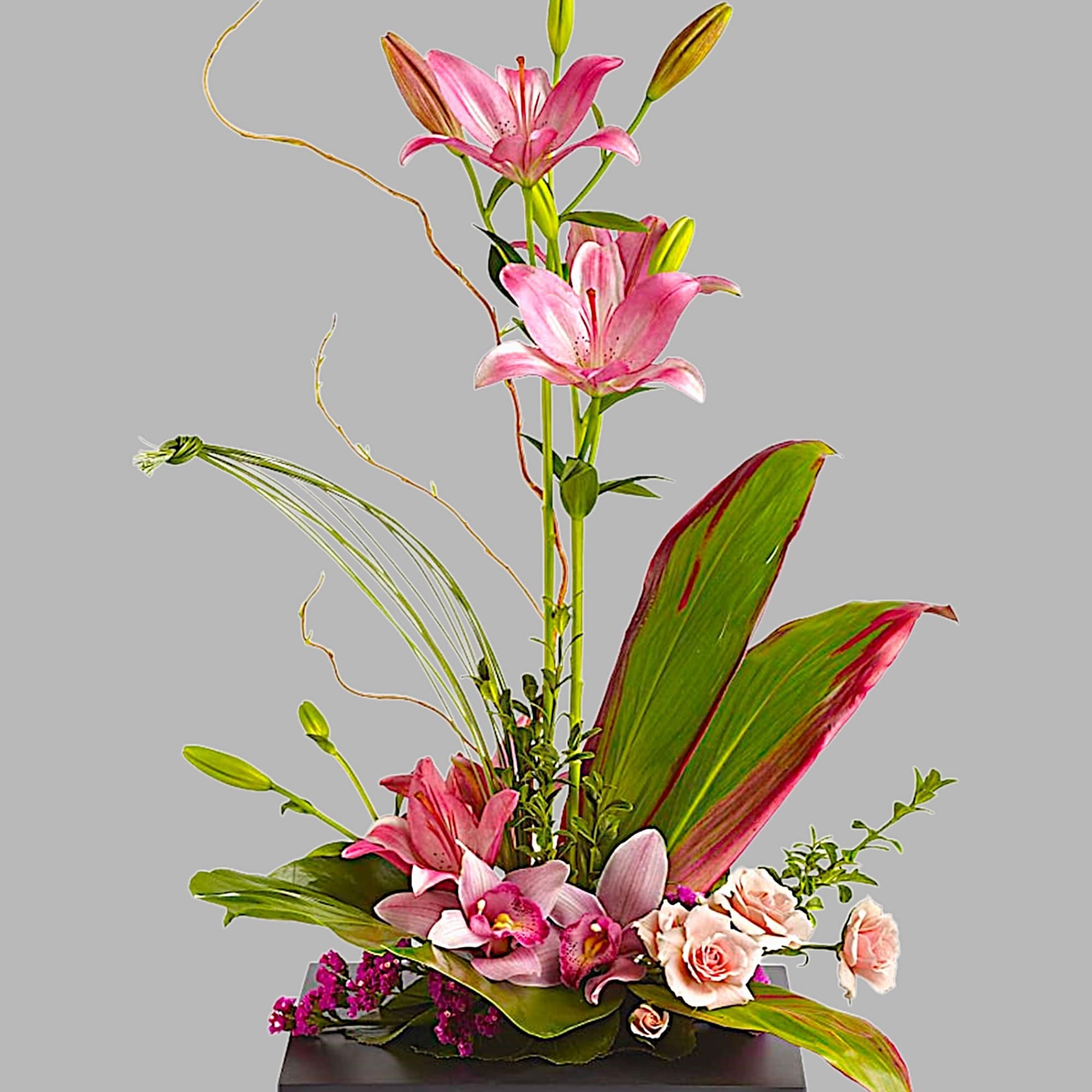 Escape into your very own a tranquil Zen Garden with this serenely