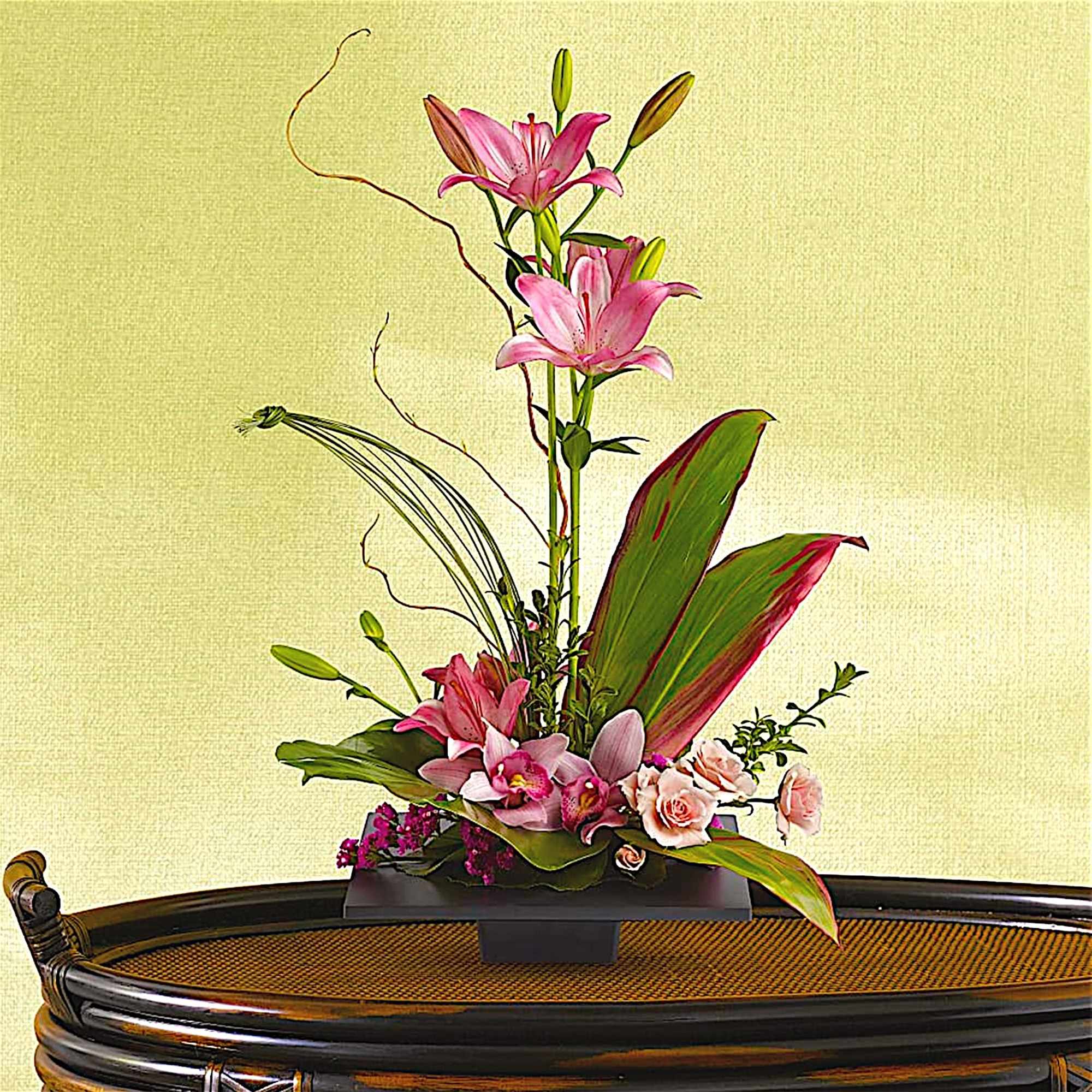 Imagination Blooms with Cymbidium Orchids in Los Angeles, CA