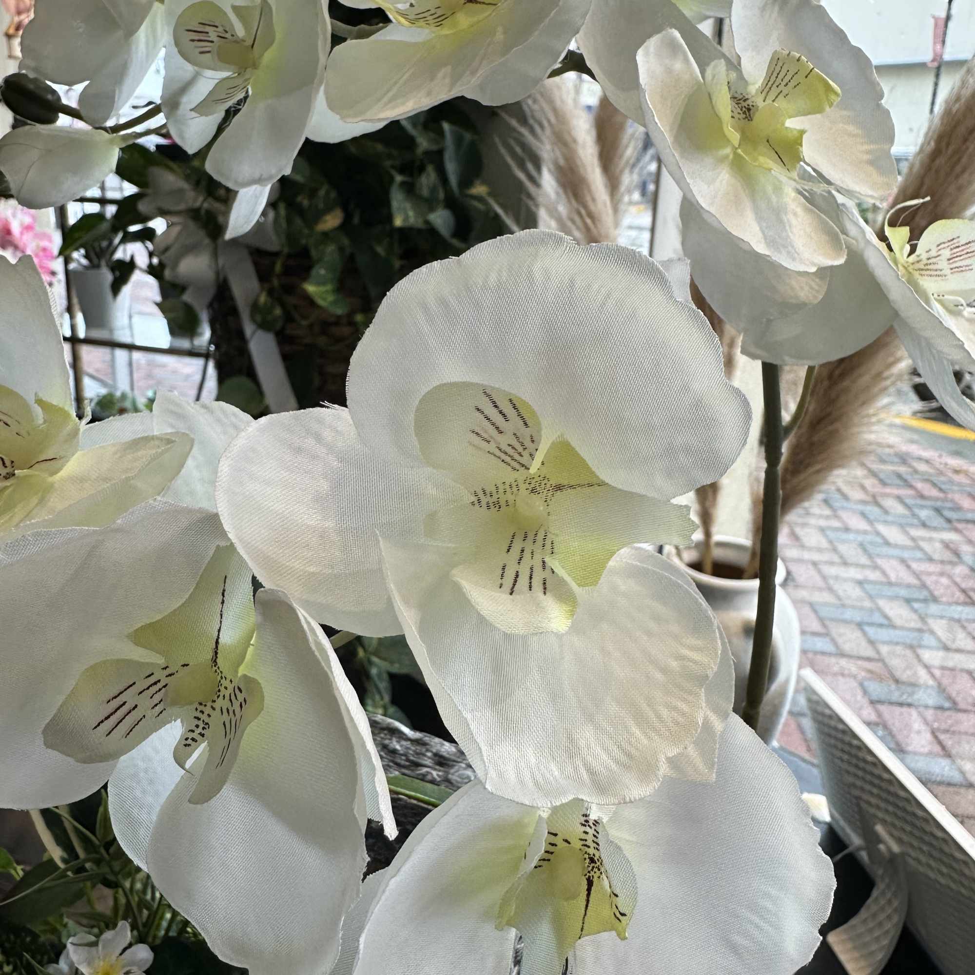 A beautiful ZEN dishgarden including a little fountain and a cute little