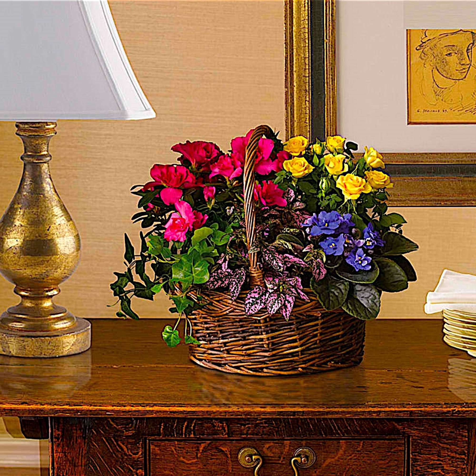 This colorful and long-lasting collection of mixed plants in a basket is