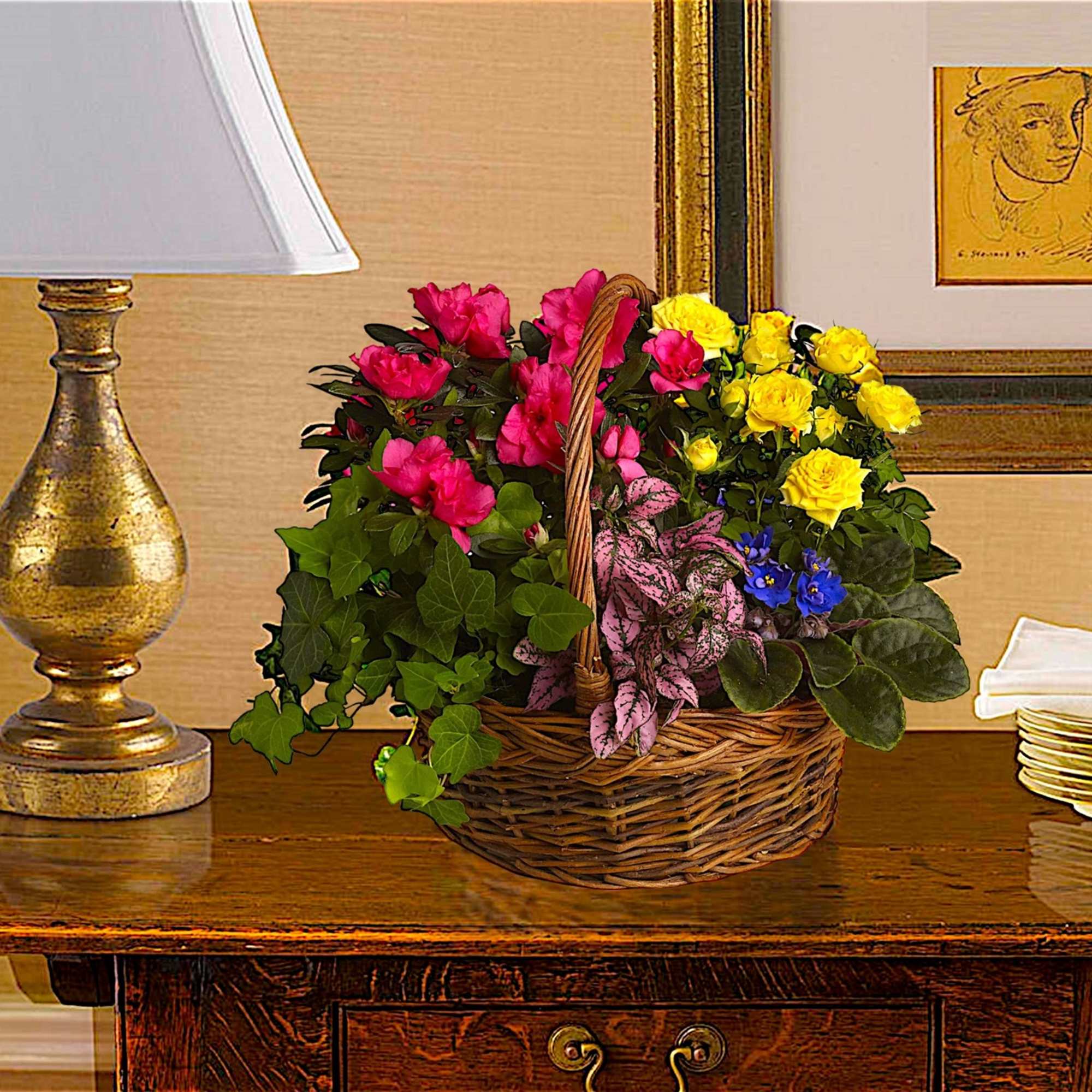 This colorful and long-lasting collection of mixed plants in a basket is