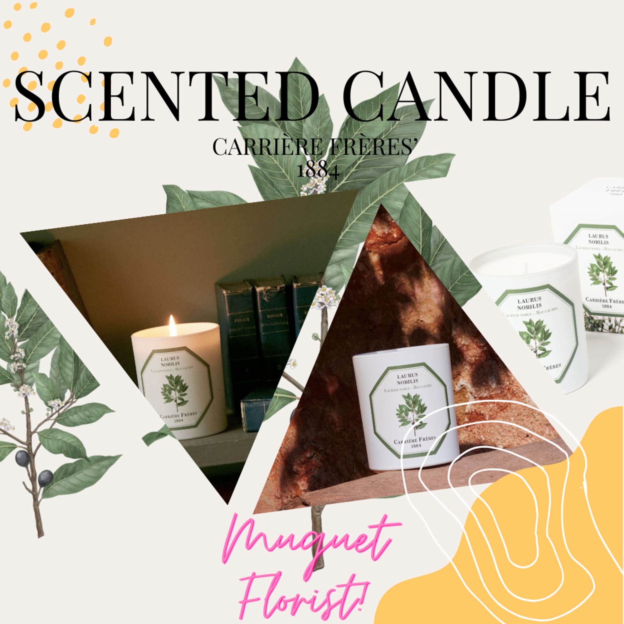 Indulge in the rich and aromatic fragrance of Bay Laurel with the