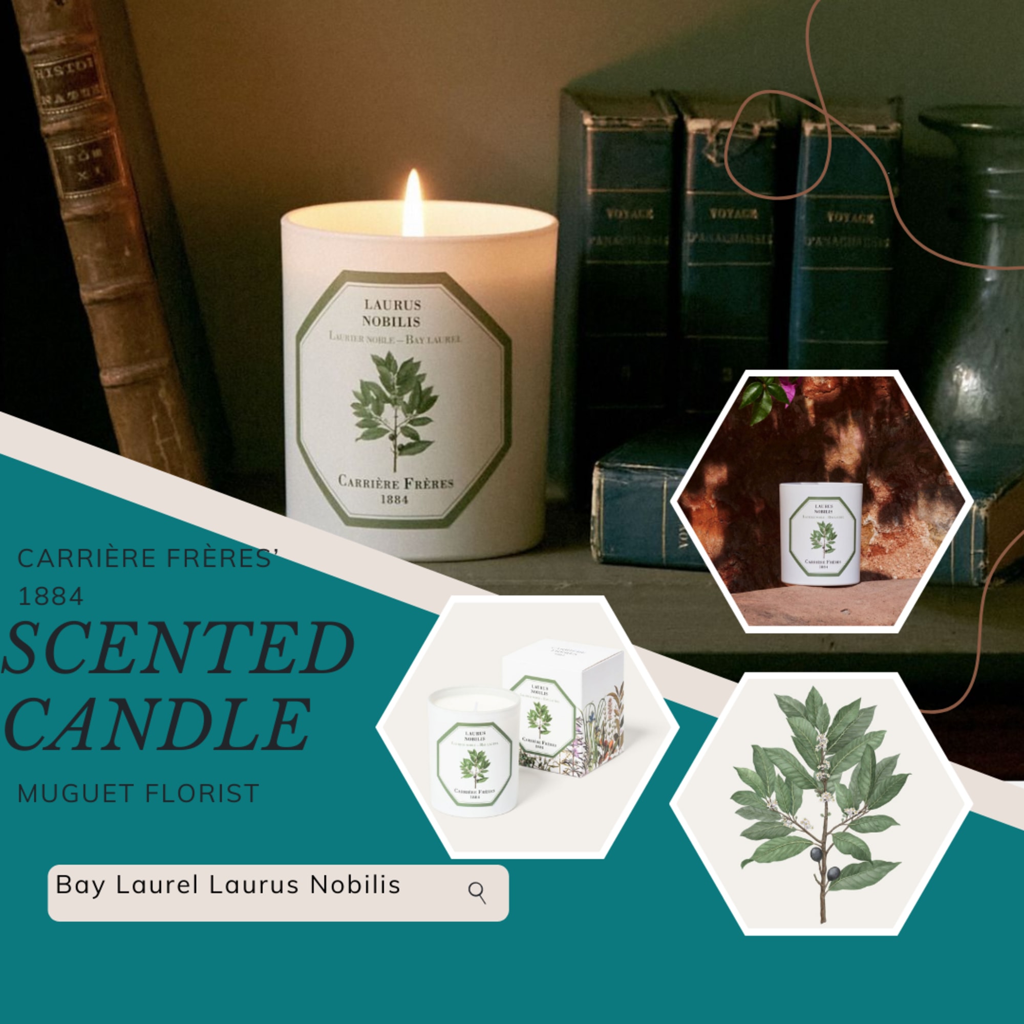 Indulge in the rich and aromatic fragrance of Bay Laurel with the