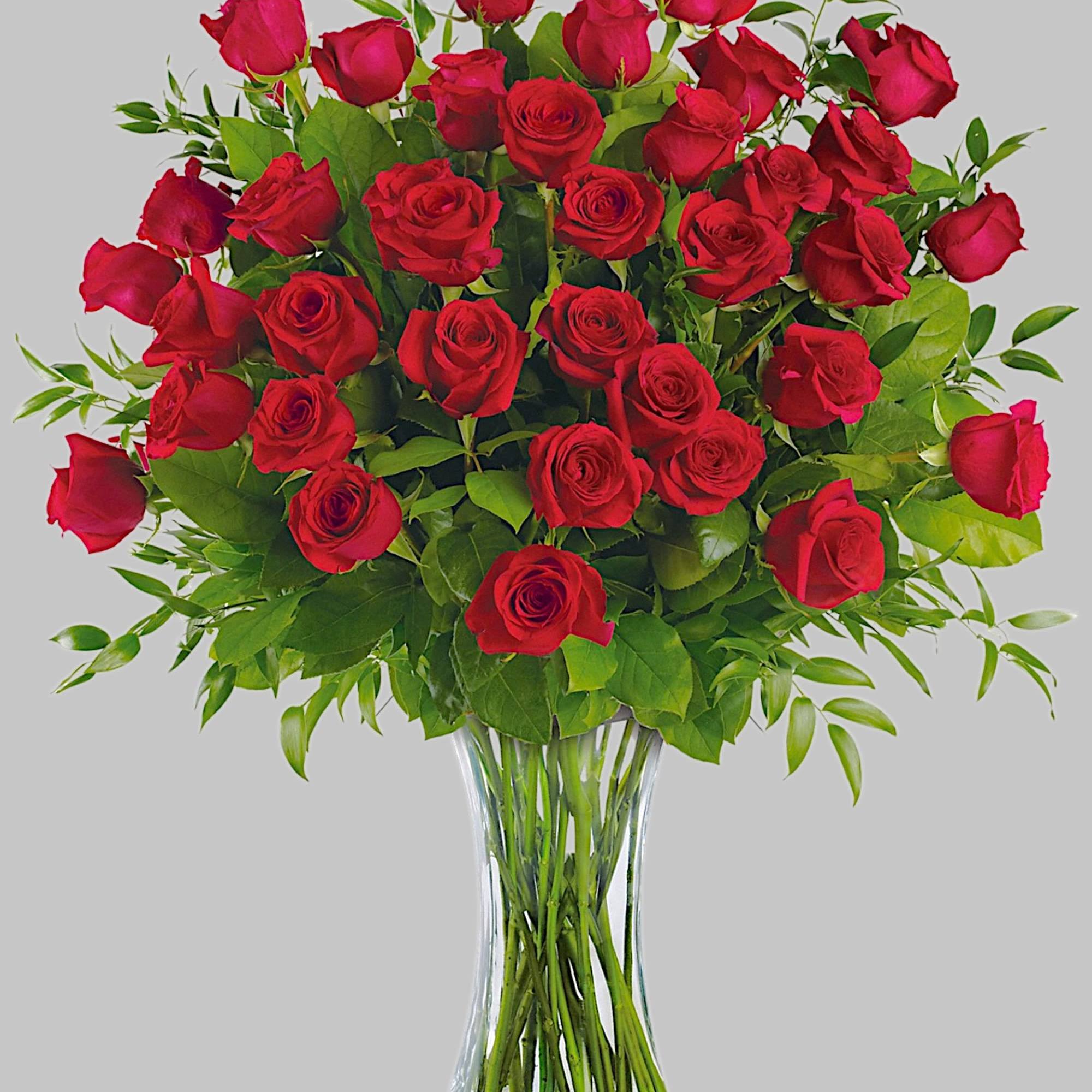Wow, wow, wow! Three dozen spectacularly gorgeous red roses artistically arranged in