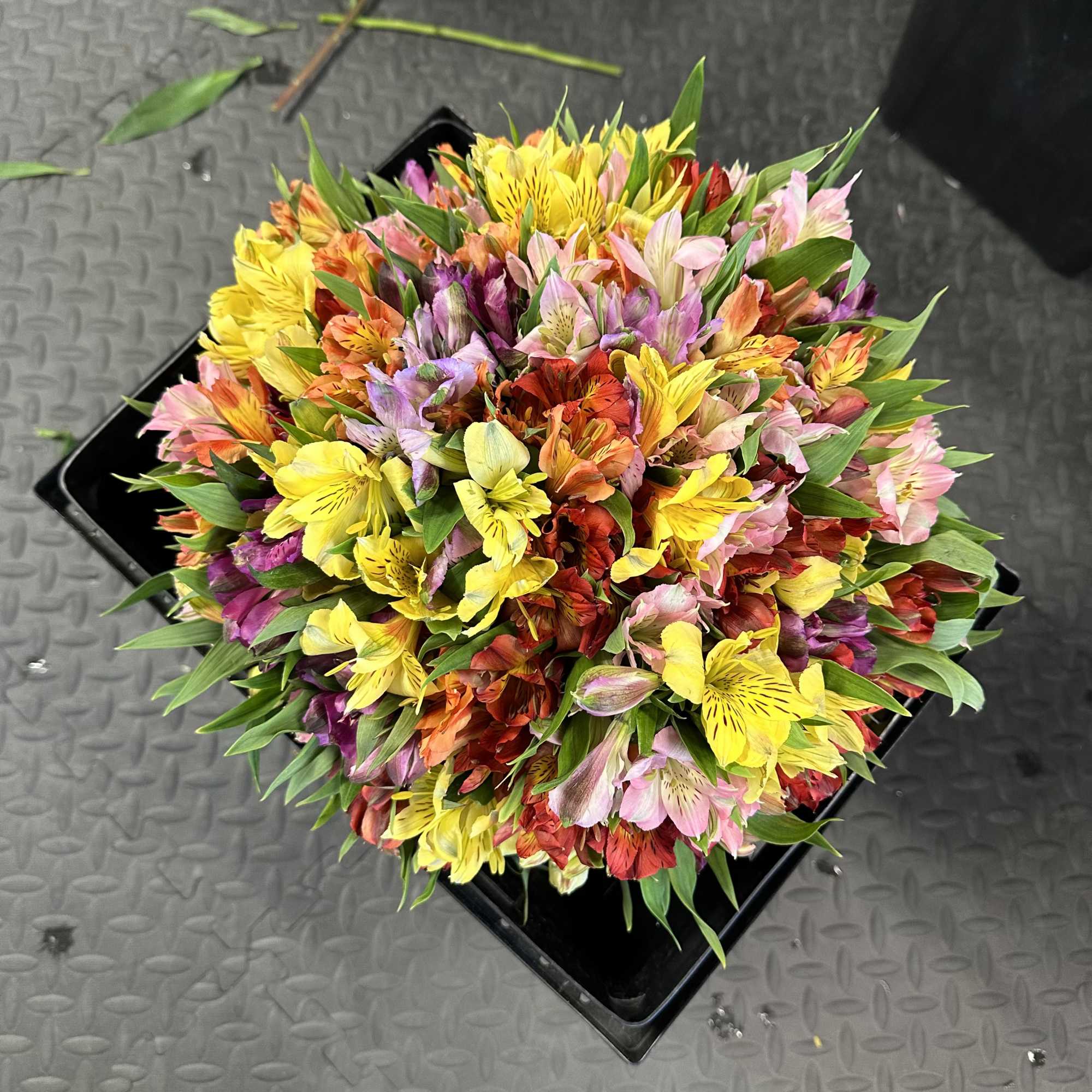 I&#039;ts a Vibe! 100 Alstroemerias bouquet

Brighten up someone&#039;s day with this amazing