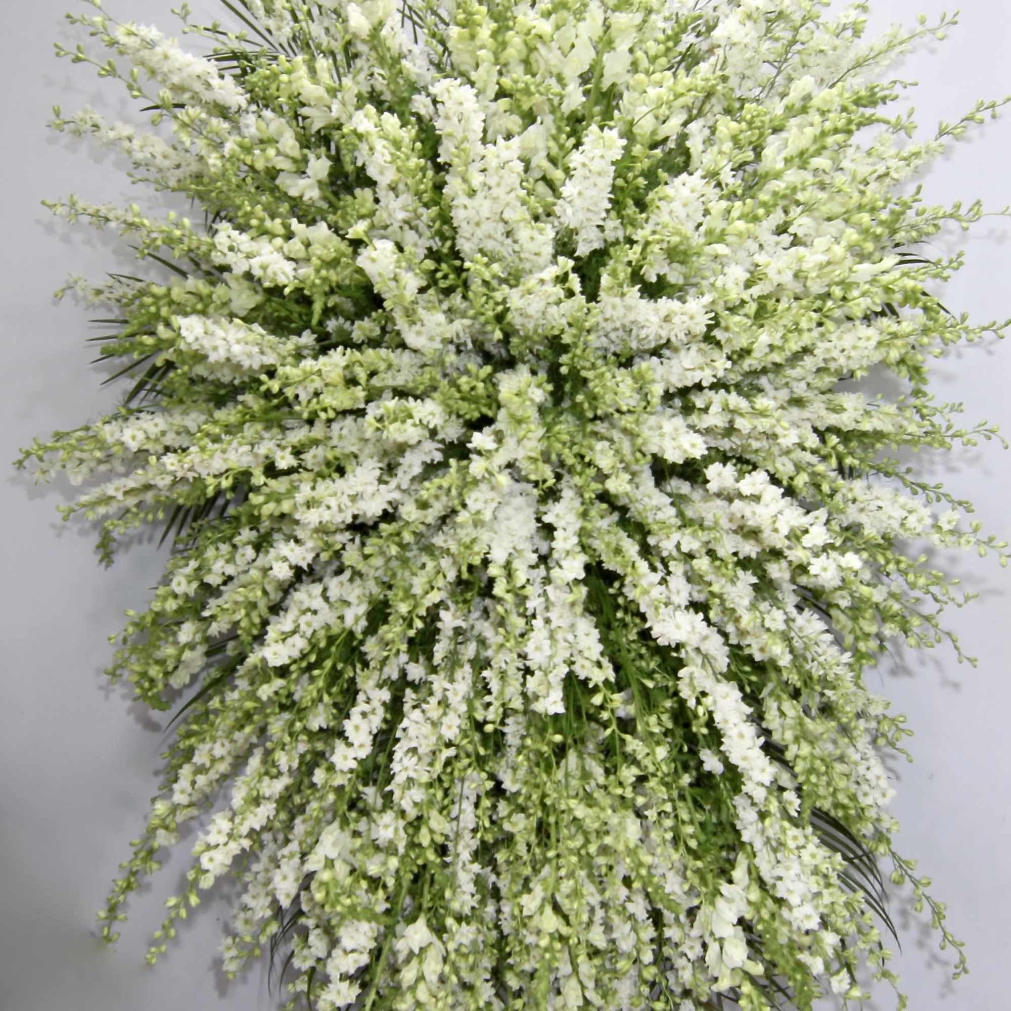 This sympathy spray is made with an elegant combination of white snapdragons