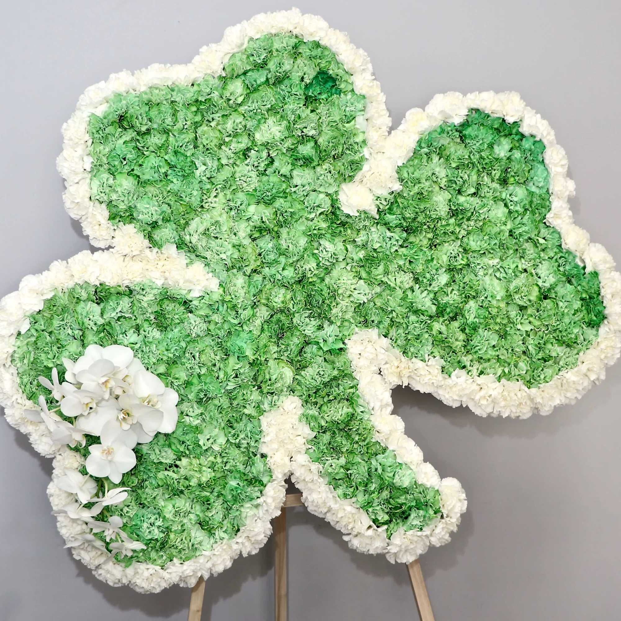 With greens and whites, this Shamrock shaped funeral arrangement contains carnations and