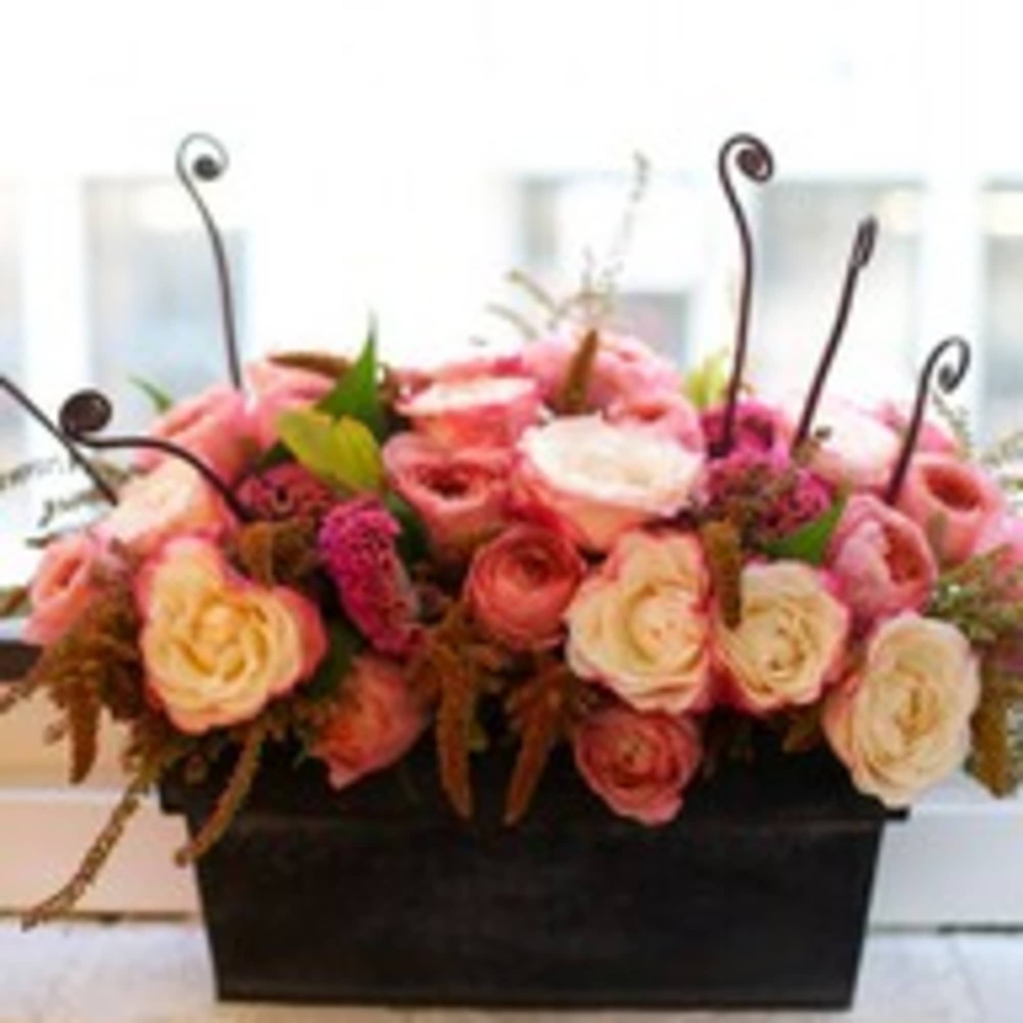 Square planter-large cabbage roses, burgundy hanging amaranthus, monkey tail, and coxcomb Square planter-large cabbage roses, burgundy hanging amaranthus, monkey tail, and coxcomb