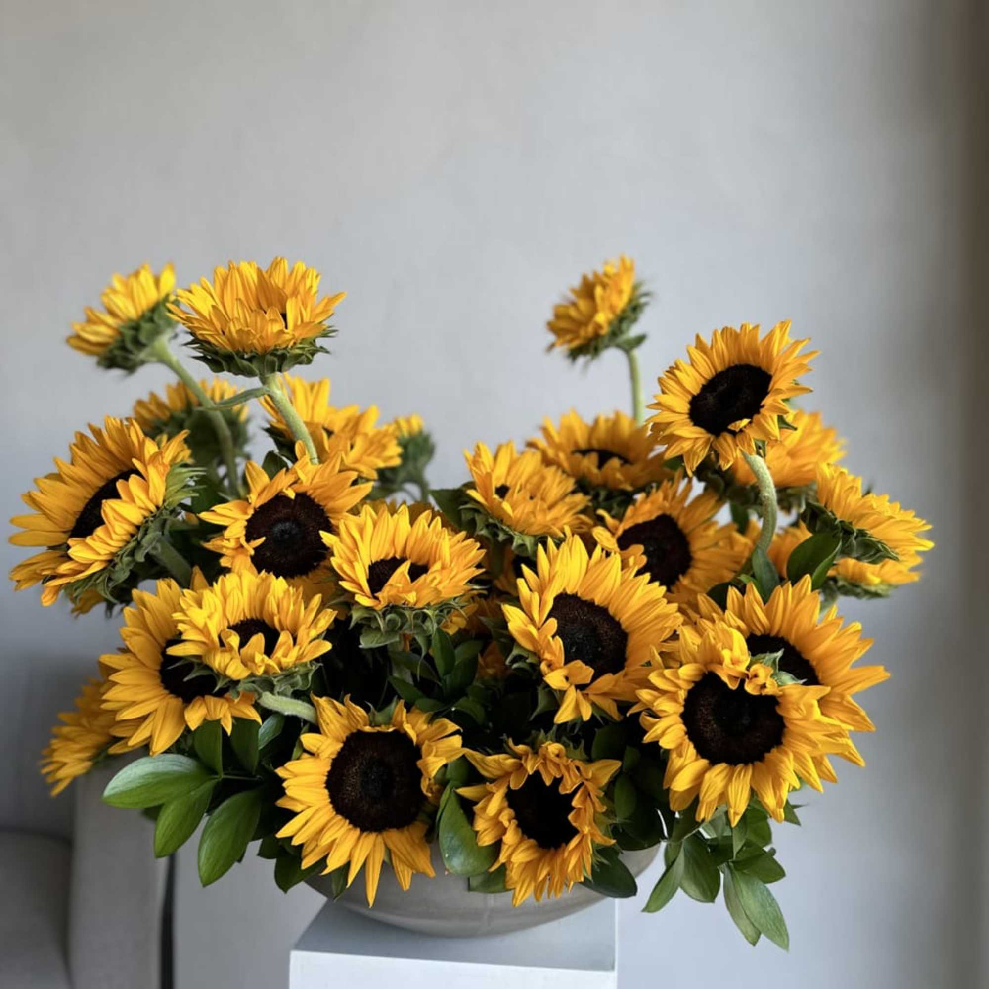 45-50 sunflowers 

This breathtaking arrangement includes sunflowers 
Perfect for any occasion.

Arrangement includes: