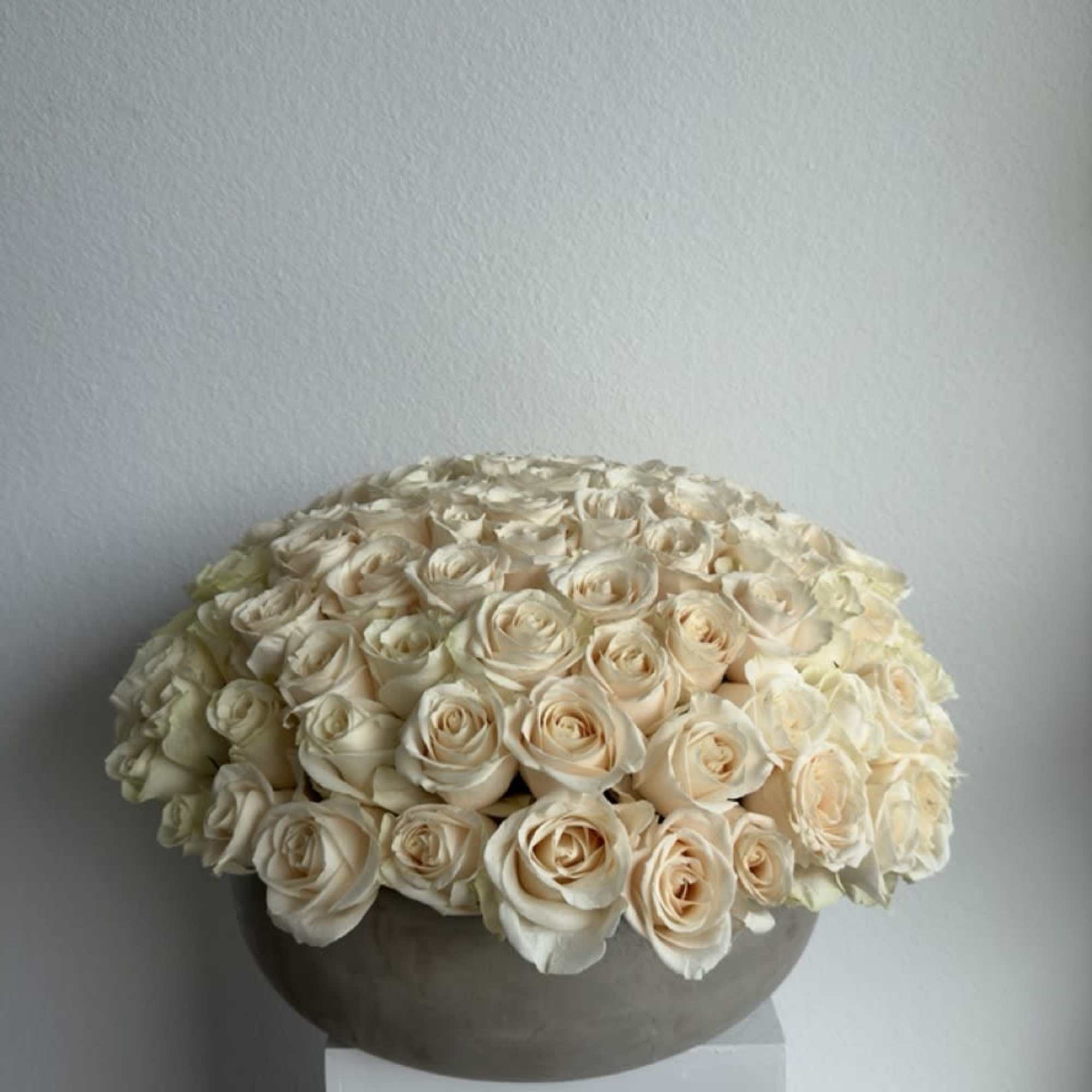 Our luxury arrangement of 150 in a beautiful concrete vase.

Arrangement includes: white