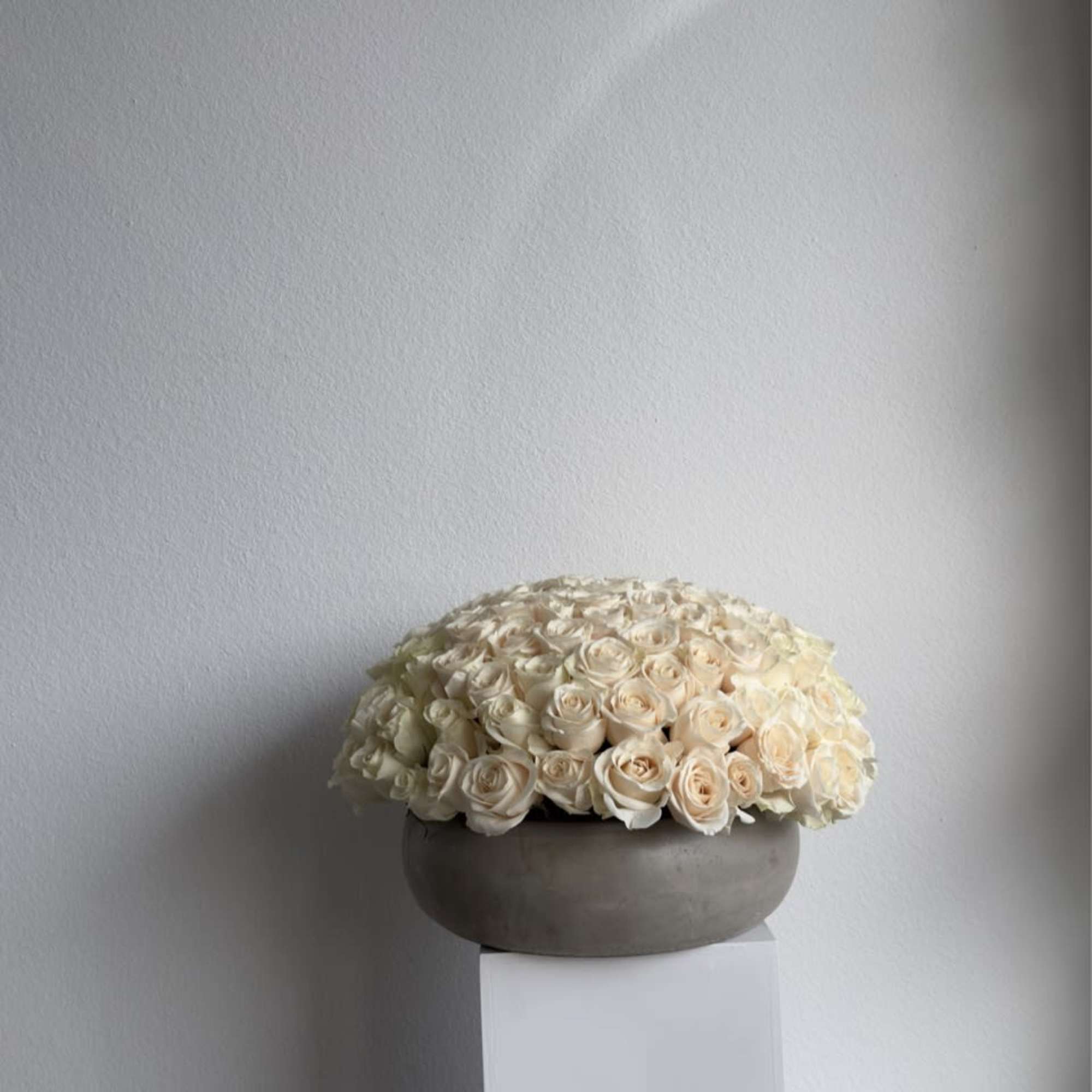 Our luxury arrangement of 150 in a beautiful concrete vase.

Arrangement includes: white