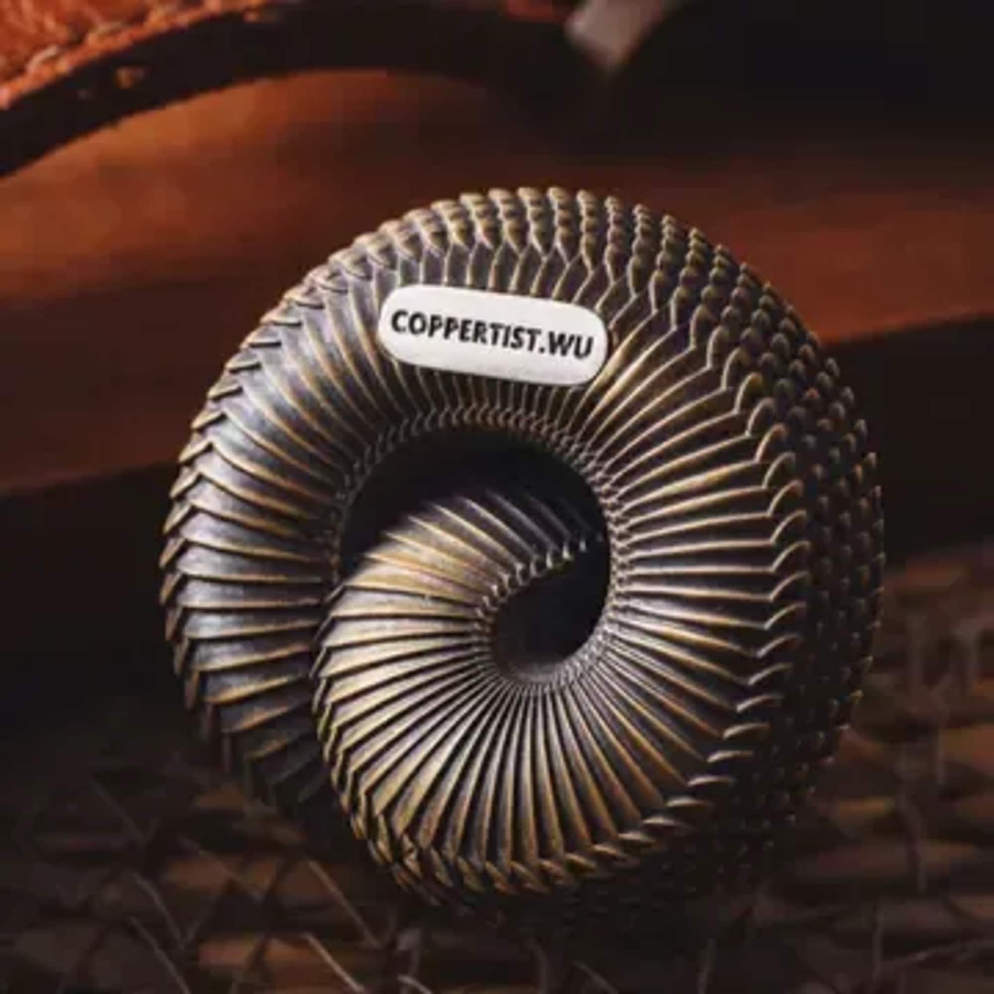 Brass Hognose Snake Bottle Opener

Parameter

Style Novelty Items 
Type Incense Holder 
Material Brass